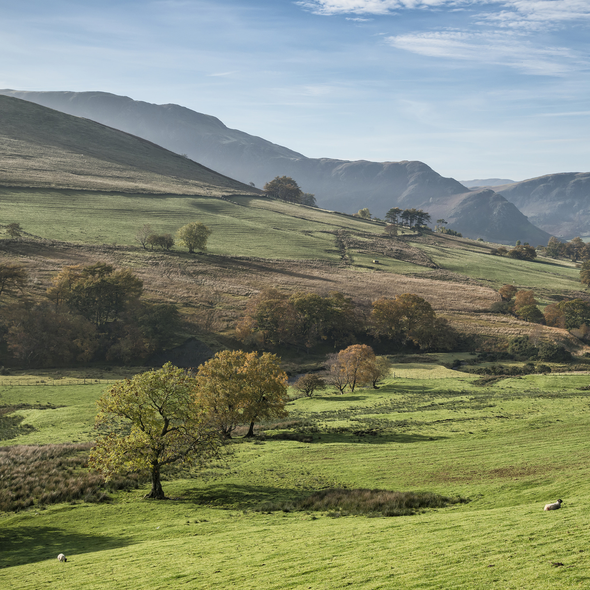 Nikon D800 sample photo. Stunning tourism landscape image of lake district during autumn photography