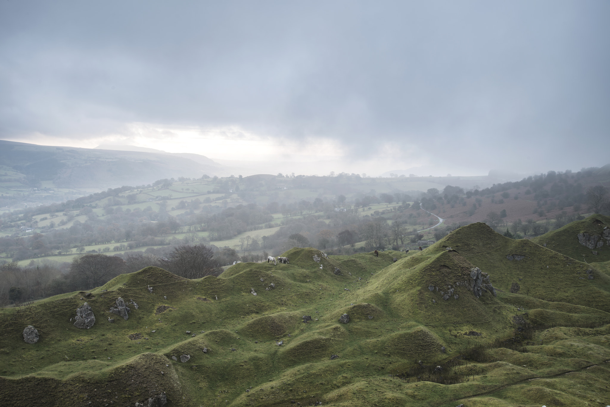 Nikon D800 sample photo. Old abandoned quarry in wales reclaimed by nature to create beau photography