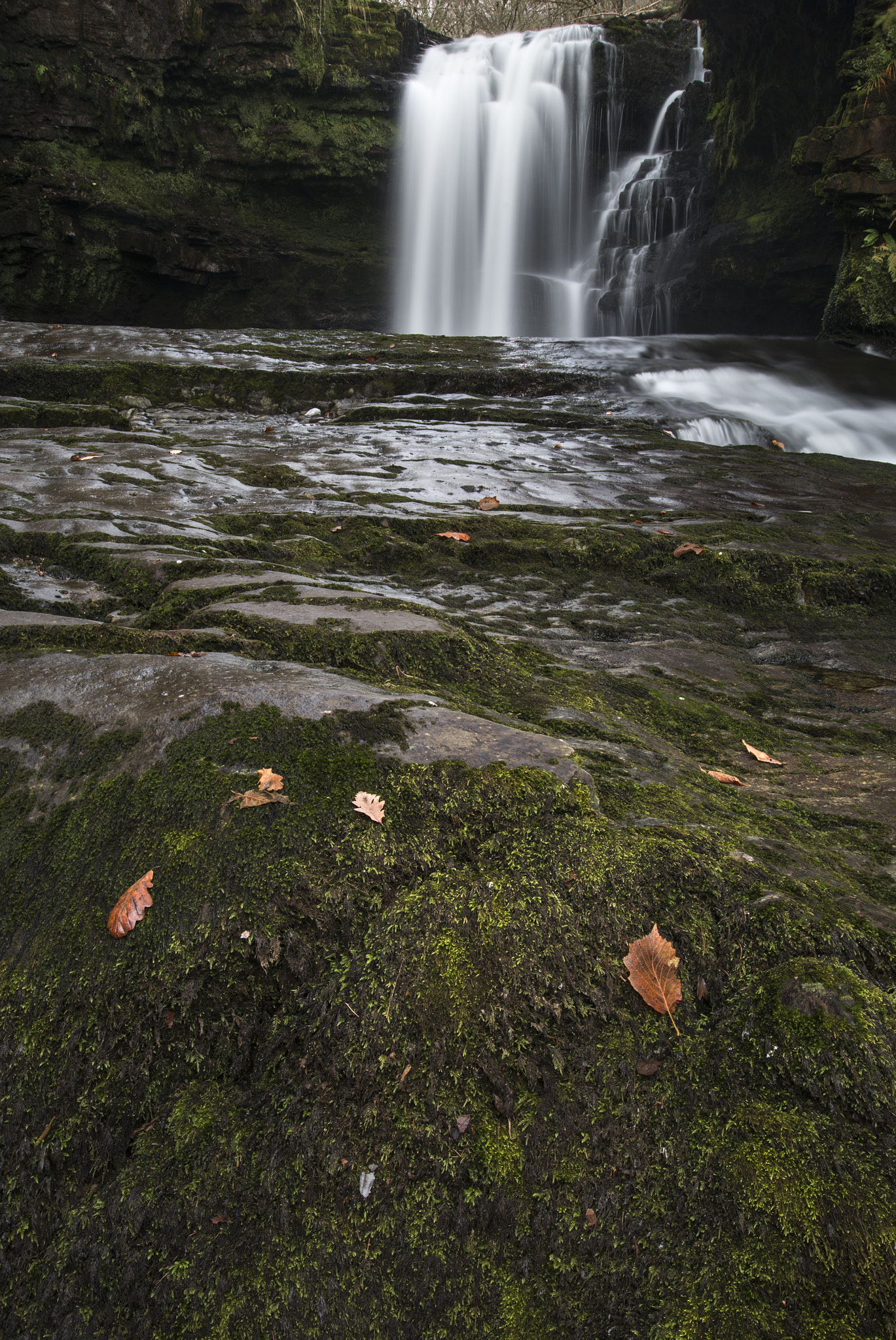 Nikon D800 + Nikon AF-S Nikkor 24-85mm F3.5-4.5G ED VR sample photo. Stunning watefall landscape in cross over between autumn and win photography