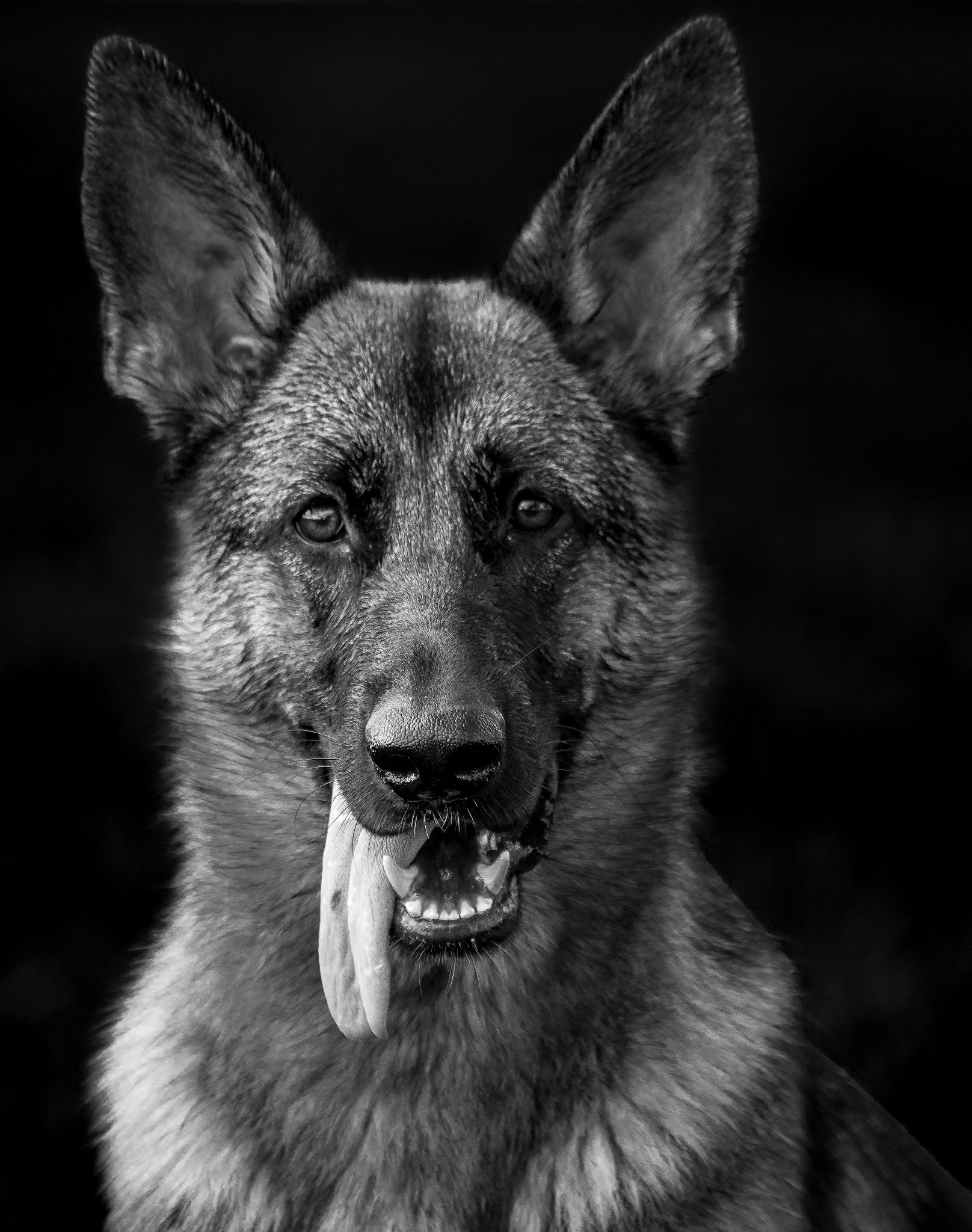 Nikon D7200 sample photo. Gsd portrait photography