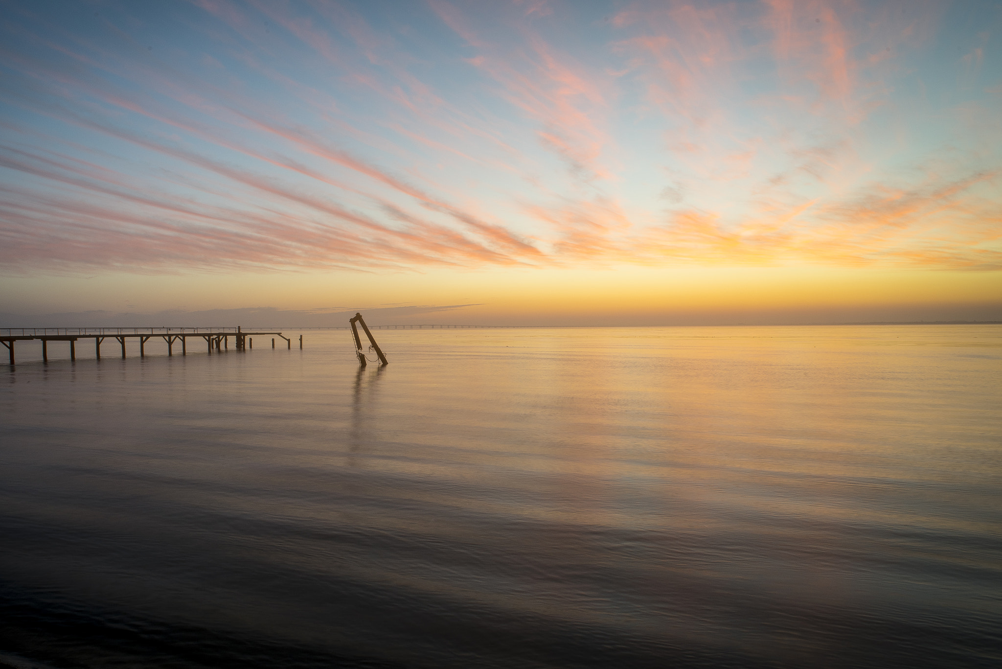 Nikon D750 + Nikon AF Nikkor 20mm F2.8D sample photo. Sunrise series - yellow spring photography