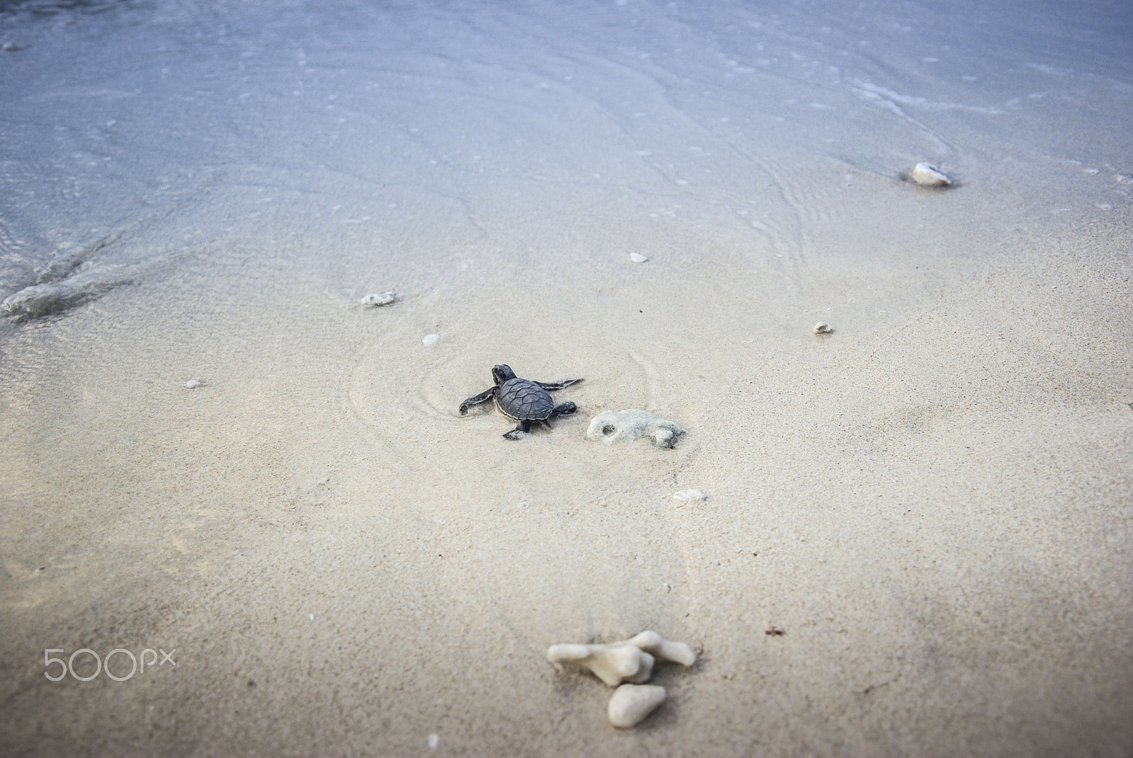 Pentax K10D + Pentax smc DA 16-45mm F4 ED AL sample photo. Igp photography