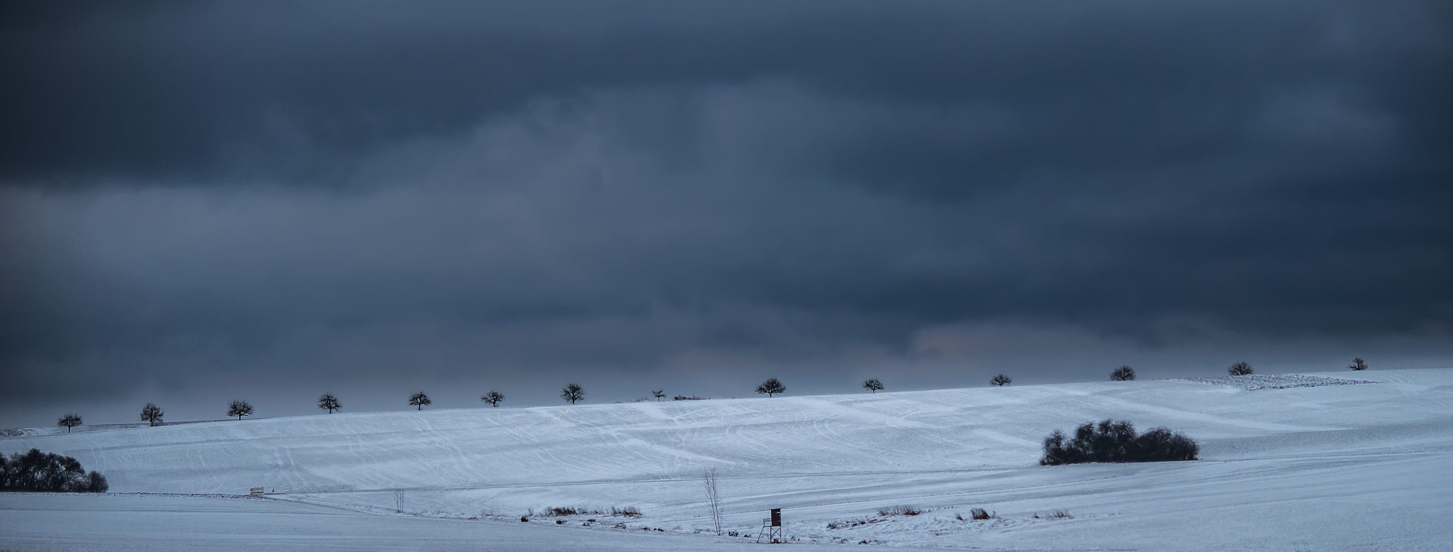 Pentax smc DA 50-200mm F4-5.6 ED WR sample photo. Line of trees photography