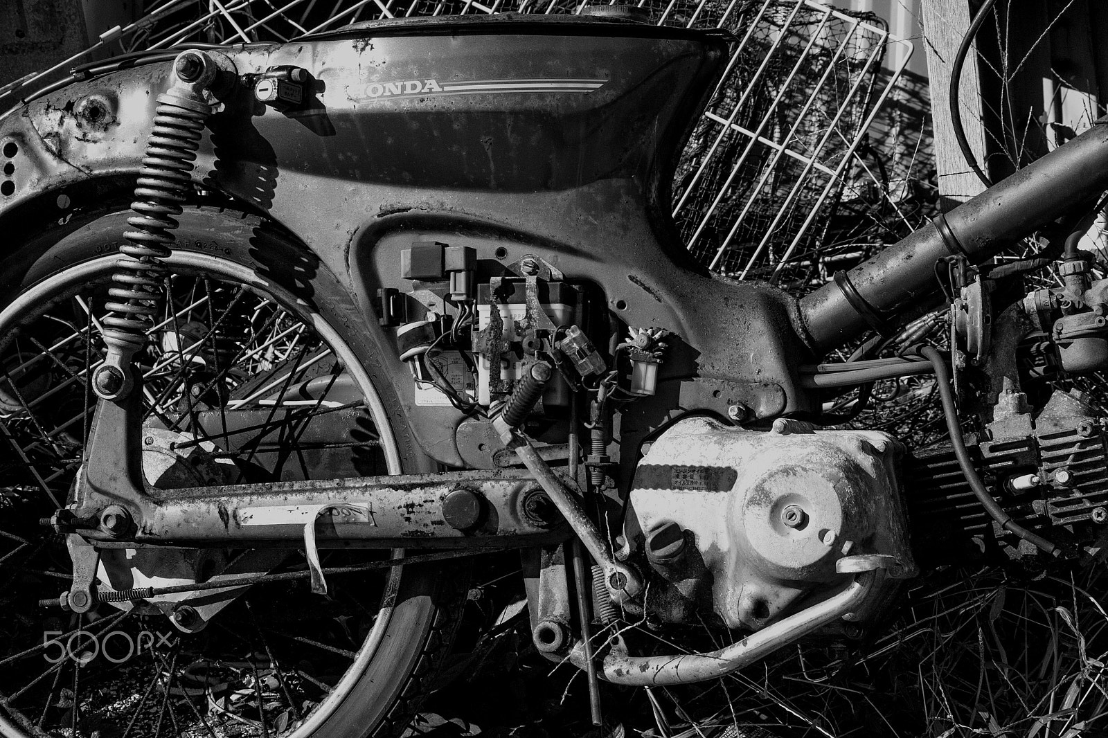 Canon EF-S 55-250mm F4-5.6 IS sample photo. Moto photography