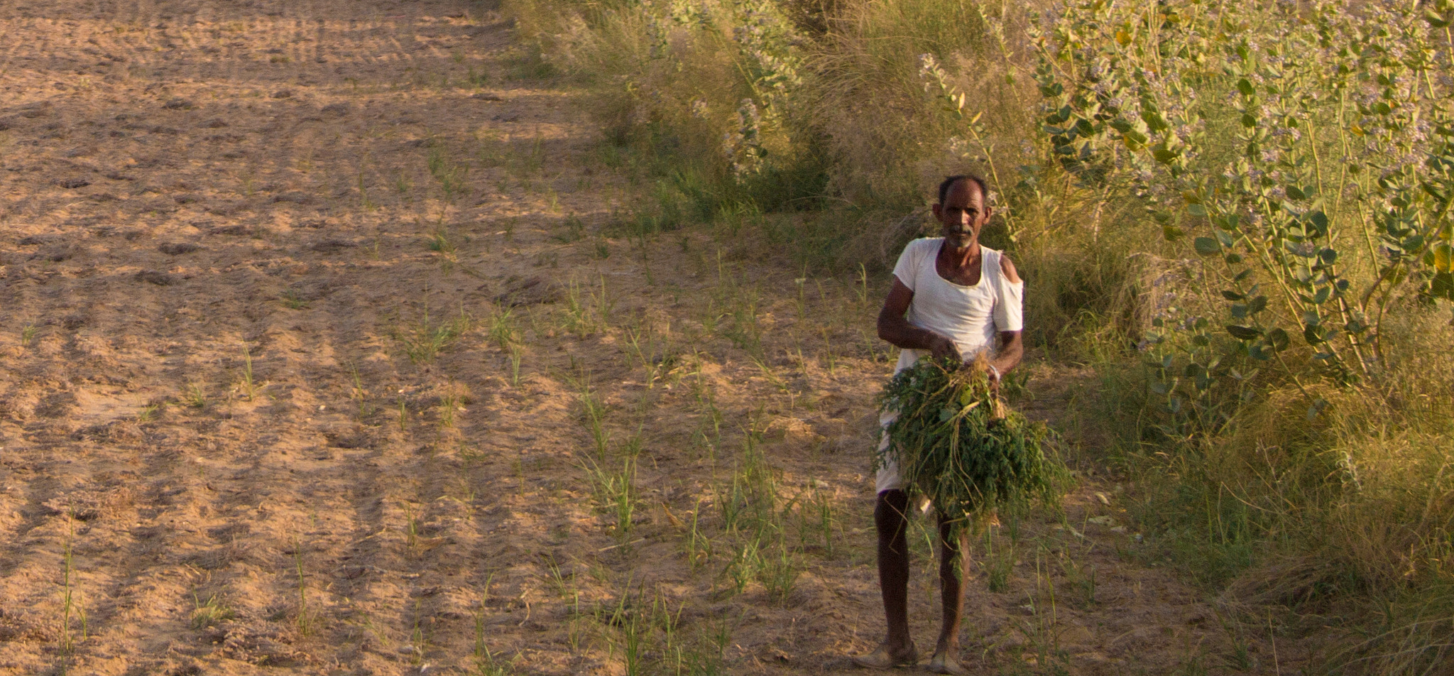 Canon EF-S 18-55mm F3.5-5.6 II sample photo. Indian farmer. rajasthan. india. photography