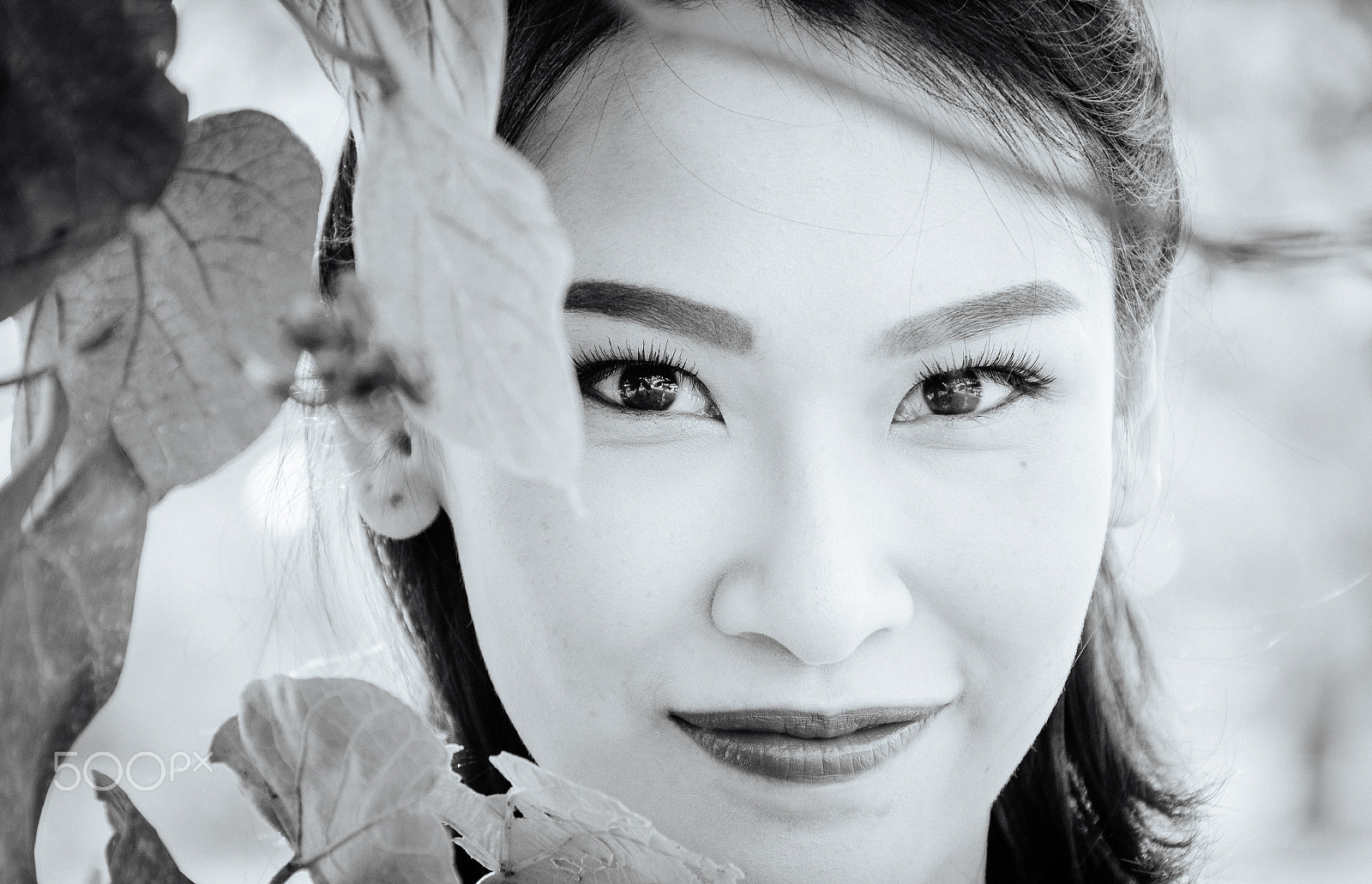Nikon D500 sample photo. Ning photography