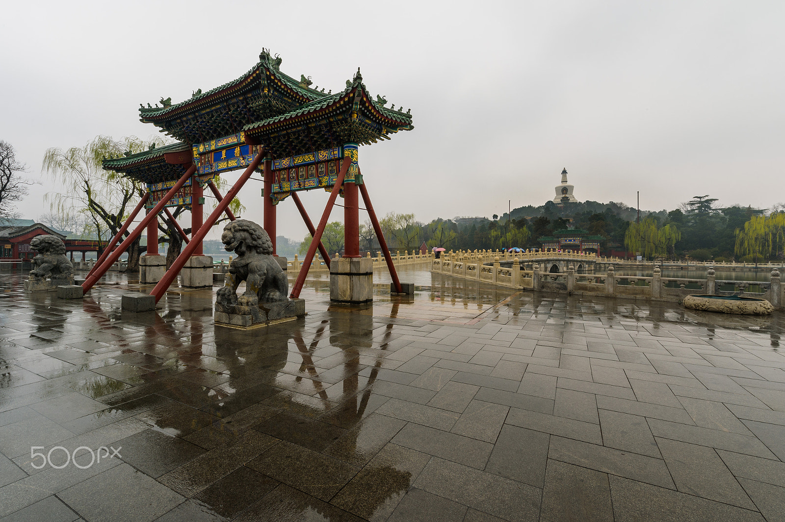 Nikon Df sample photo. Rainy days of beihai park. photography