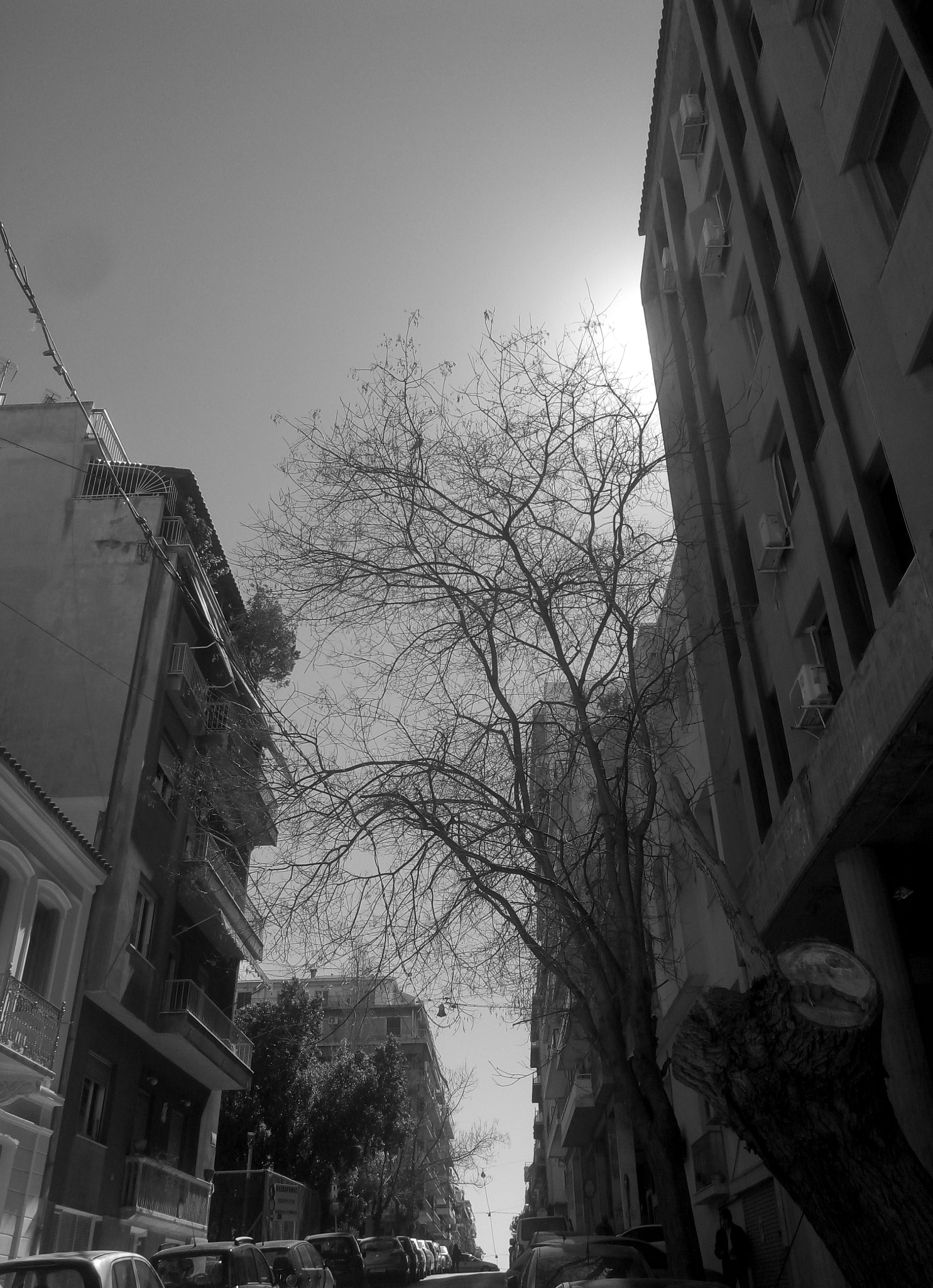 Meizu m2 note sample photo