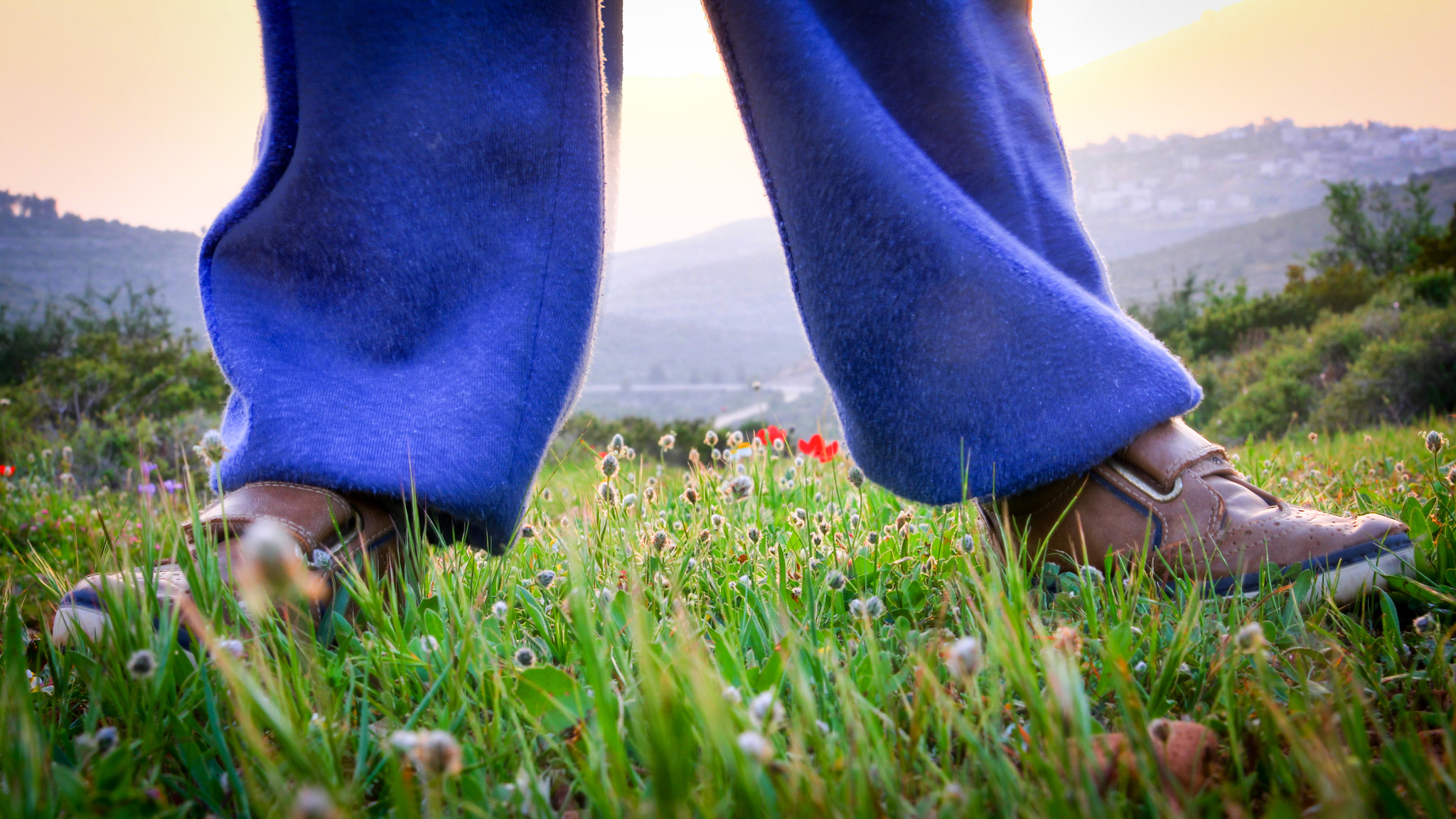 Tamron SP AF 17-50mm F2.8 XR Di II LD Aspherical (IF) sample photo. Feet on the ground photography