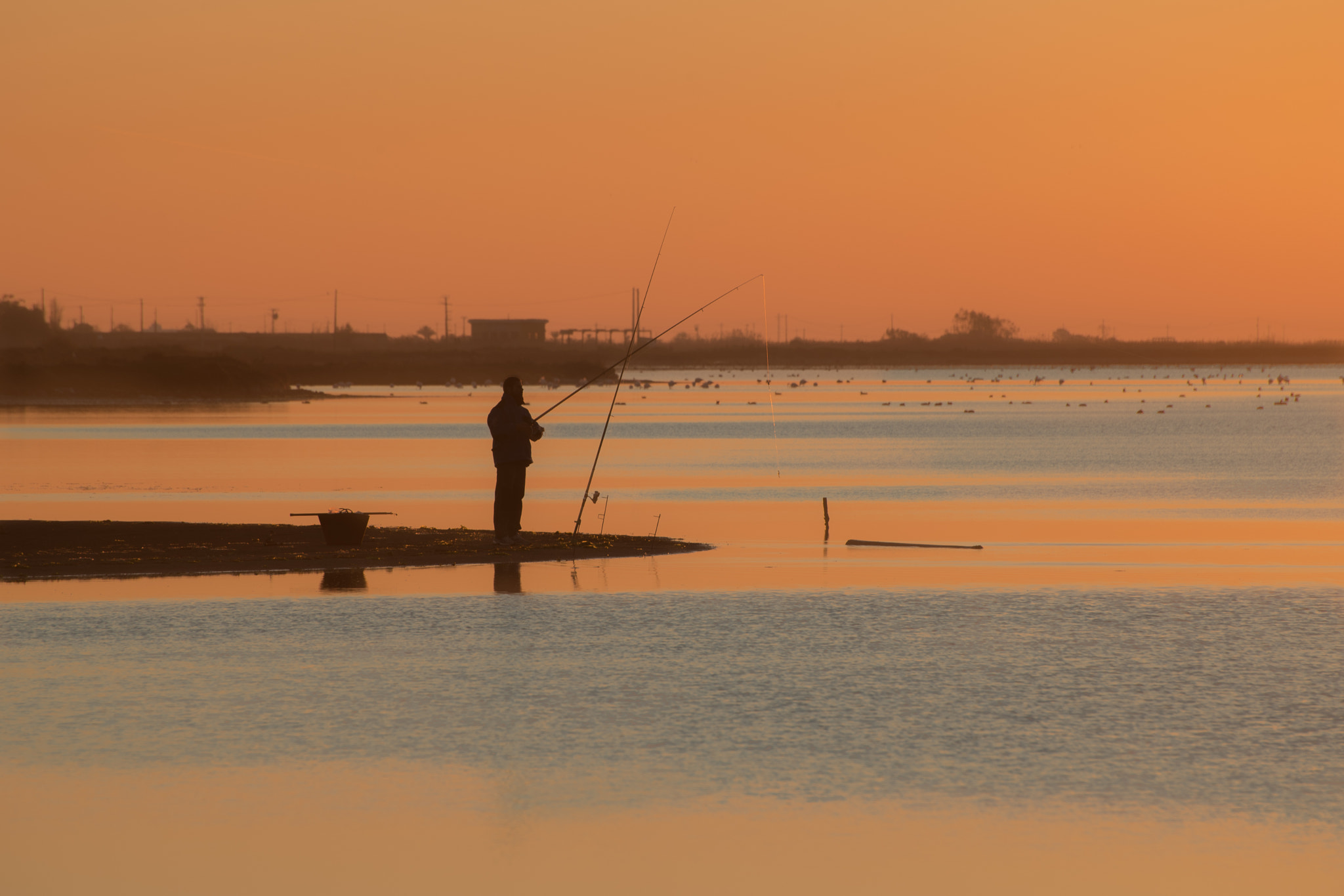 Nikon D5 sample photo. Colores del delta (2) photography