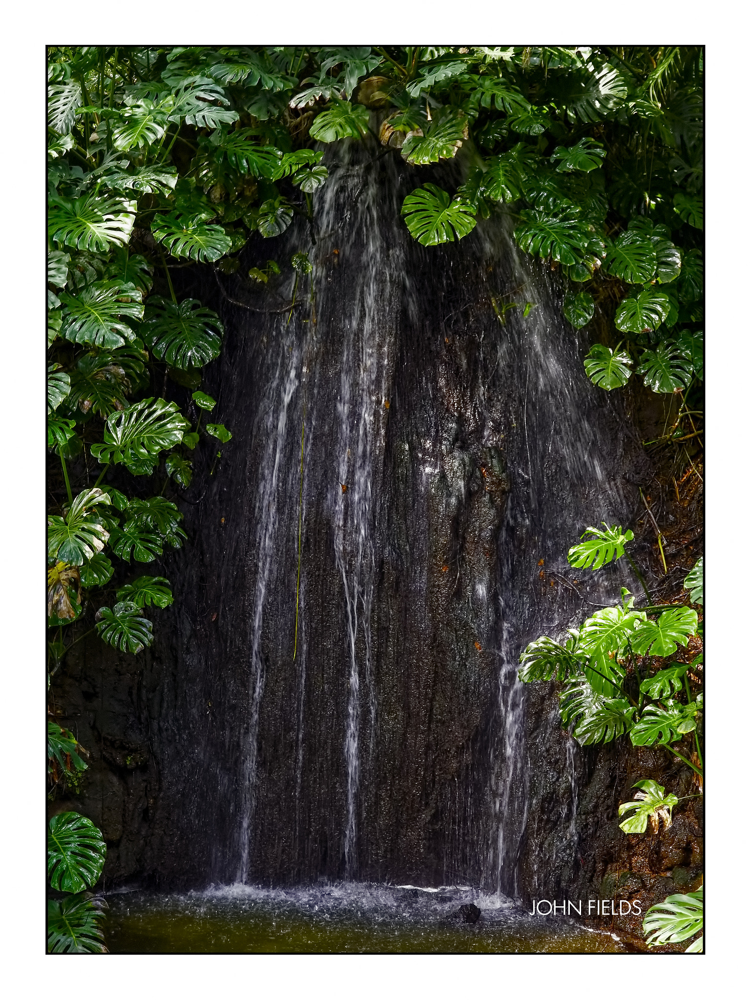 Panasonic Lumix DMC-GX8 sample photo. Málaga (69) jardín botánico la concepción photography