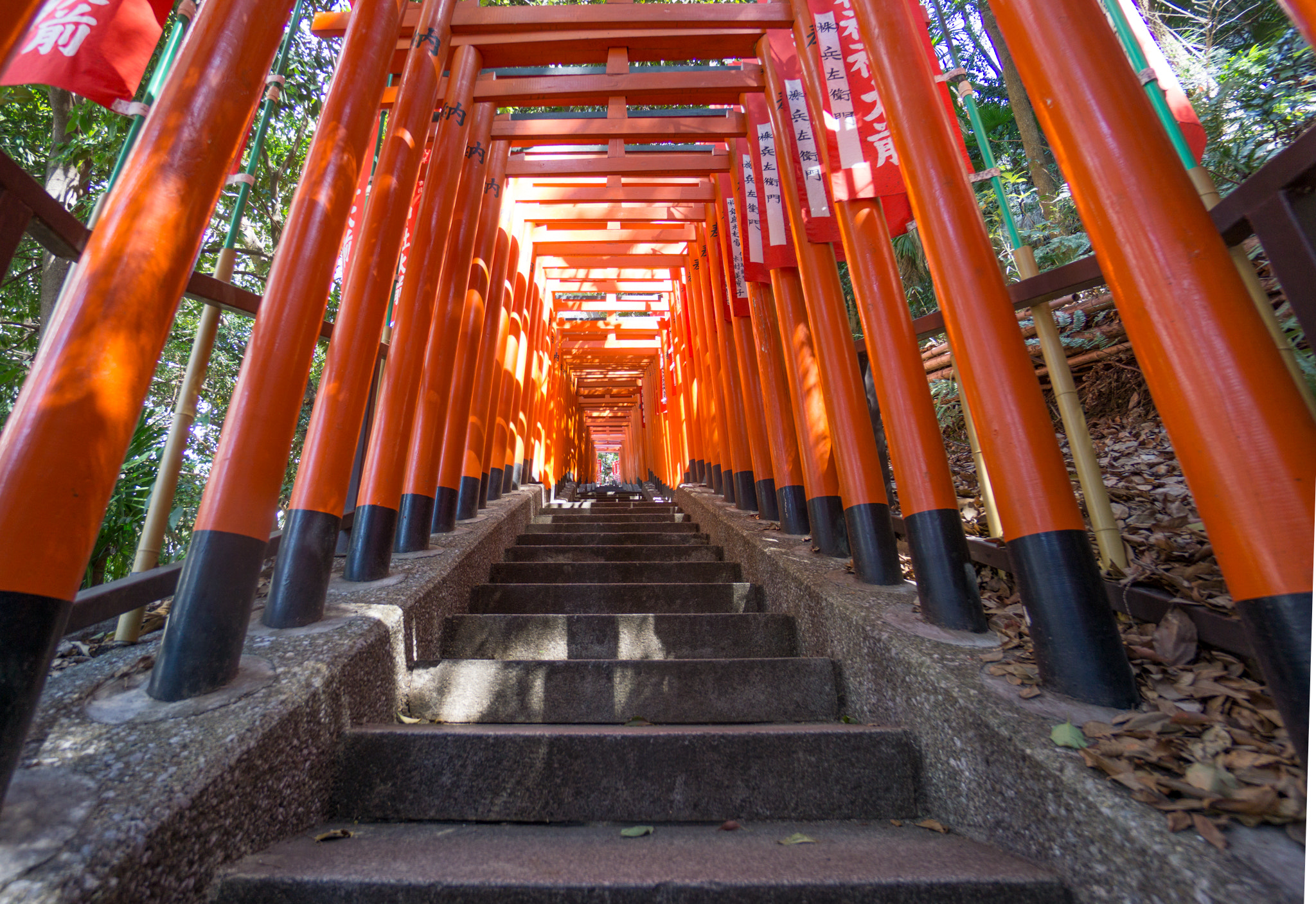 Sony a6000 + Sony E 10-18mm F4 OSS sample photo. Torii, hie shrine photography