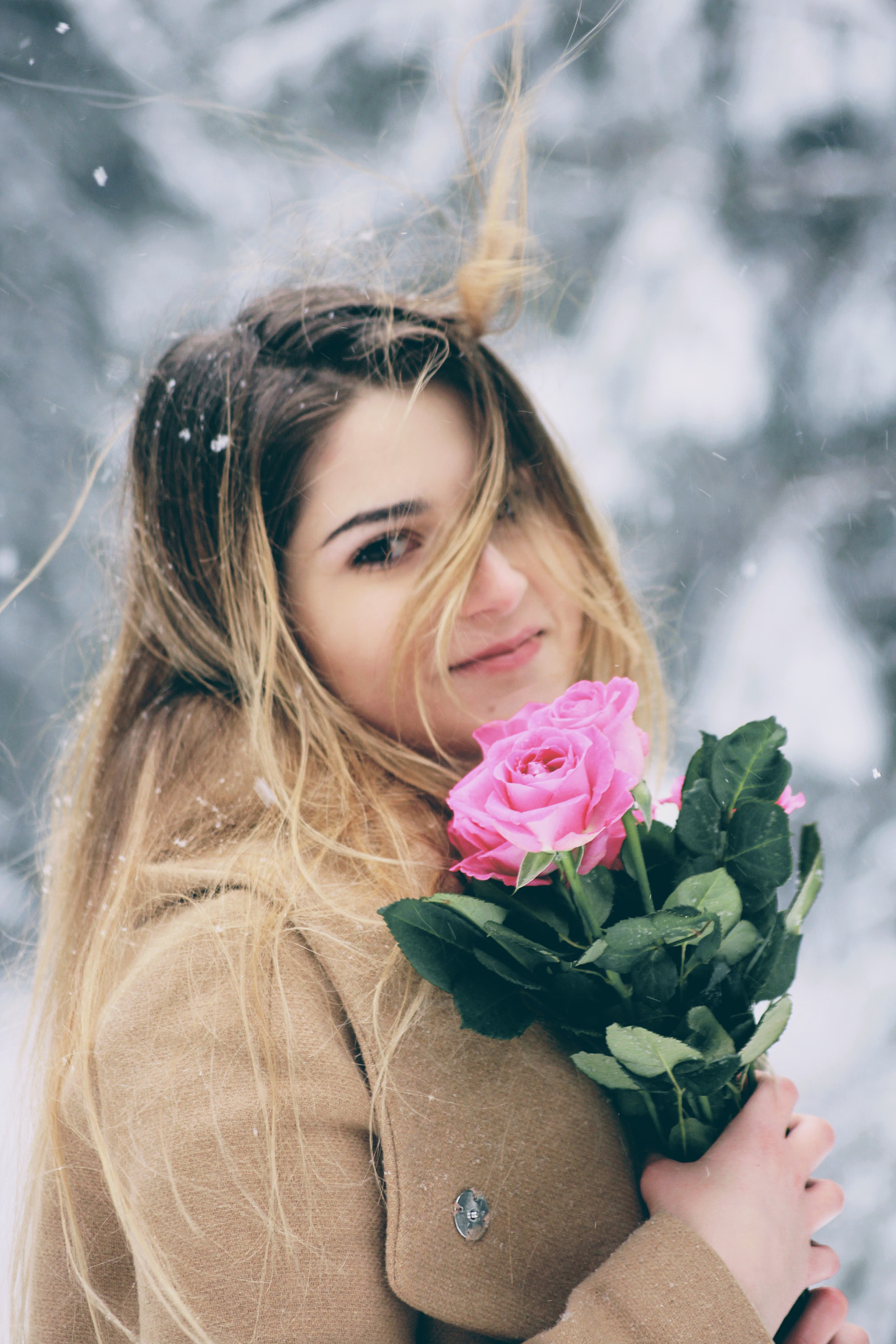 Sigma 55-200mm f/4-5.6 DC sample photo. Frozen roses photography