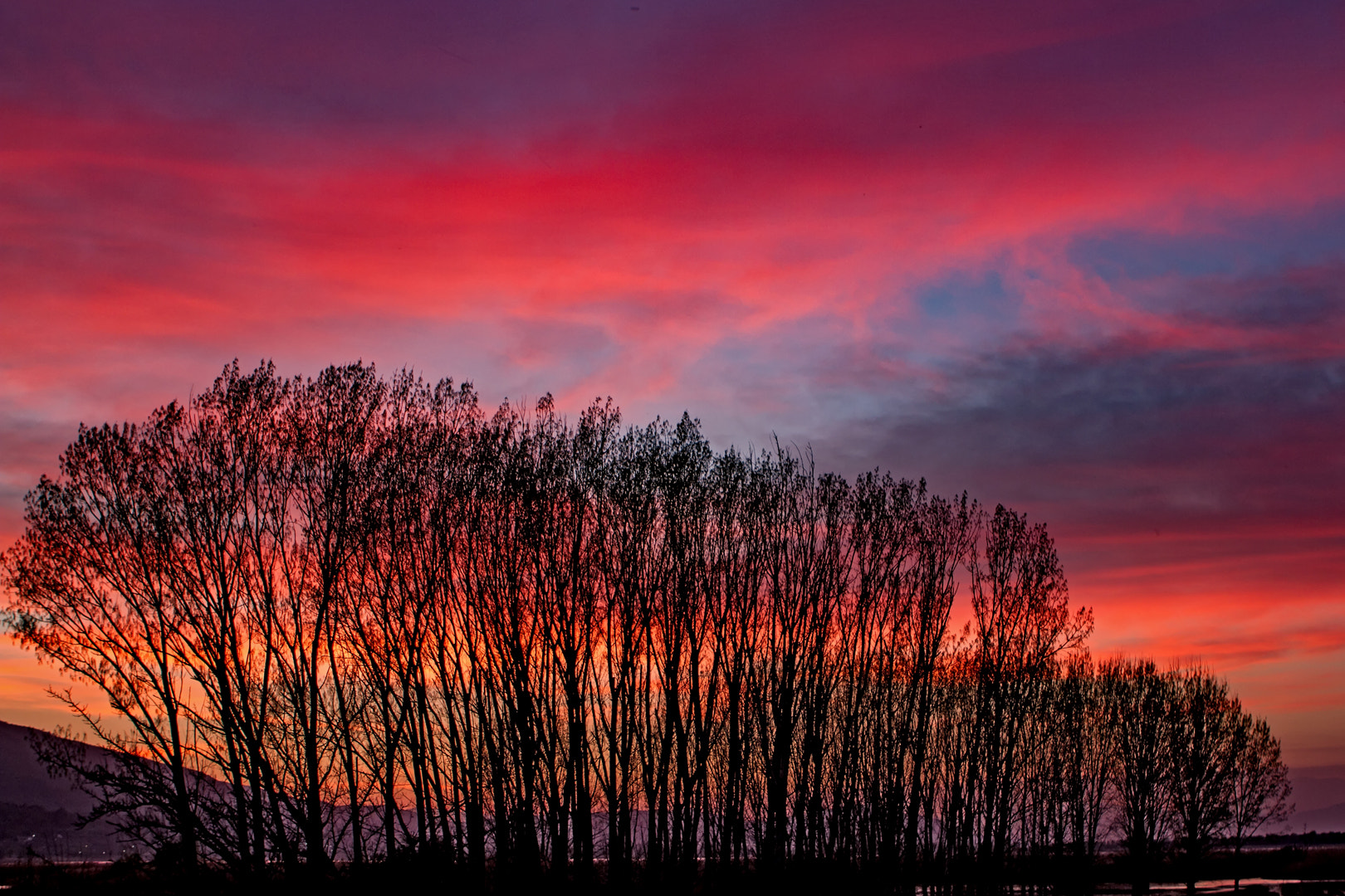 Canon EOS 7D + Canon EF 24-70mm F2.8L USM sample photo. Sunset true colors photography
