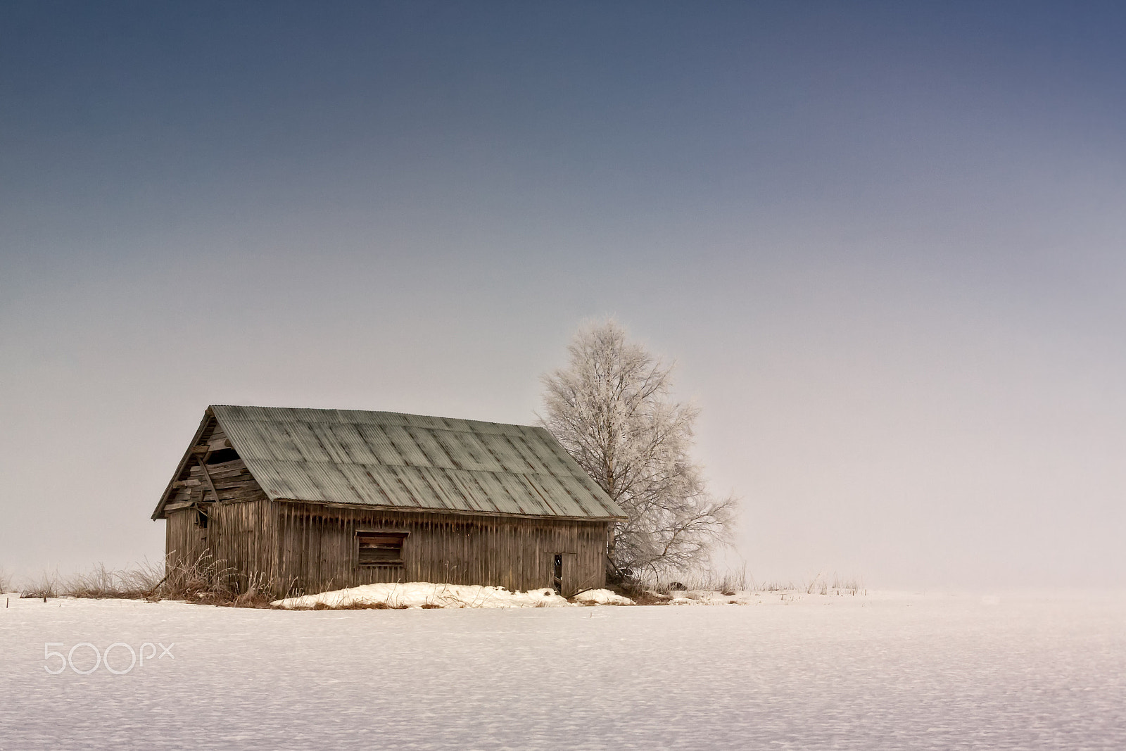 Canon EF-S 24mm F2.8 STM sample photo. Foggy morning on the fields photography