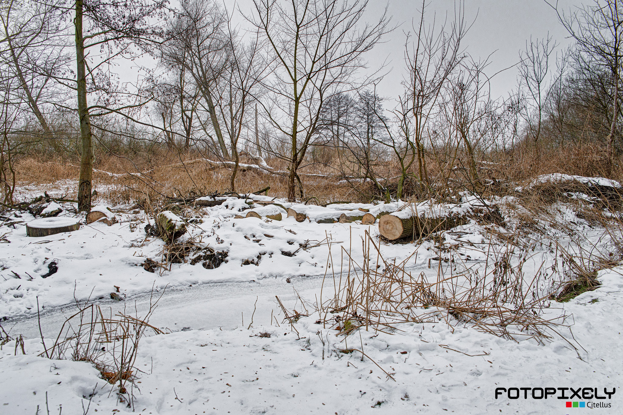 Sigma 24-70mm F2.8 EX DG HSM sample photo. Zima / winter photography