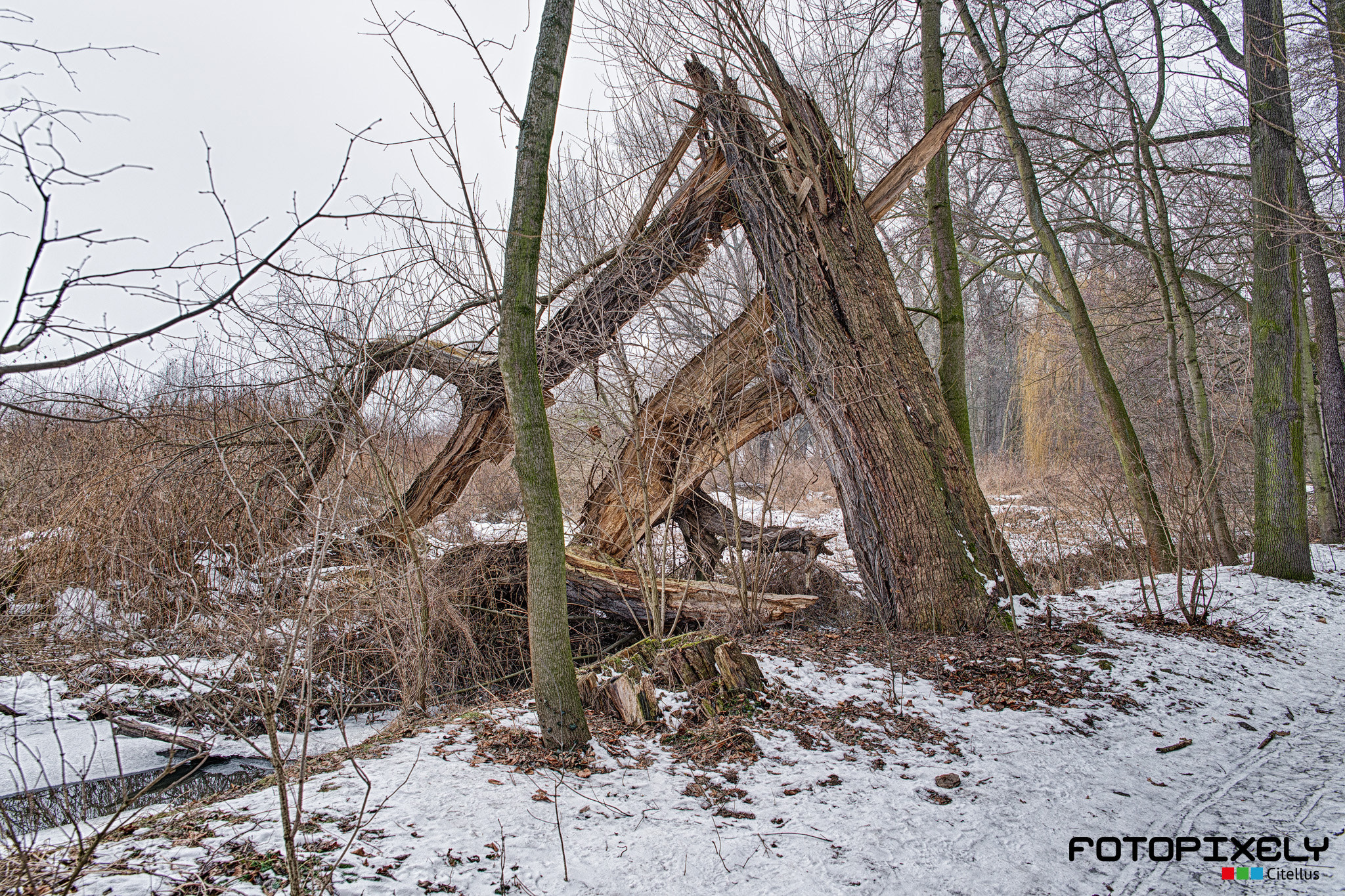 Sigma 24-70mm F2.8 EX DG HSM sample photo. Zima / winter photography