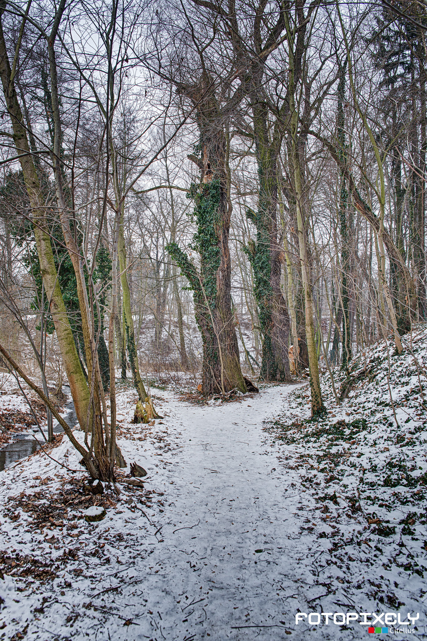 Sigma 24-70mm F2.8 EX DG HSM sample photo. Zima / winter photography