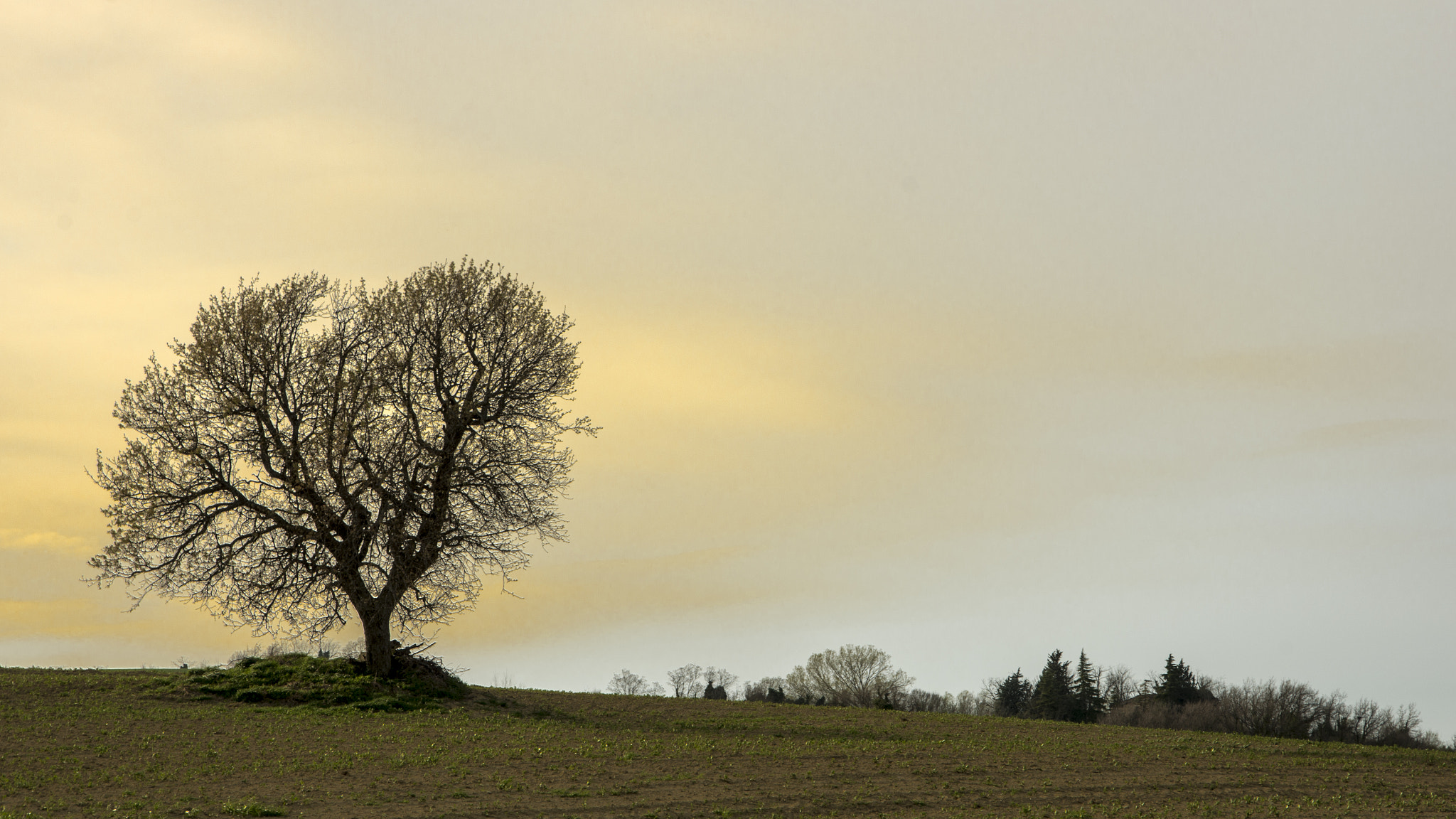 Pentax K-5 sample photo. Predappio photography