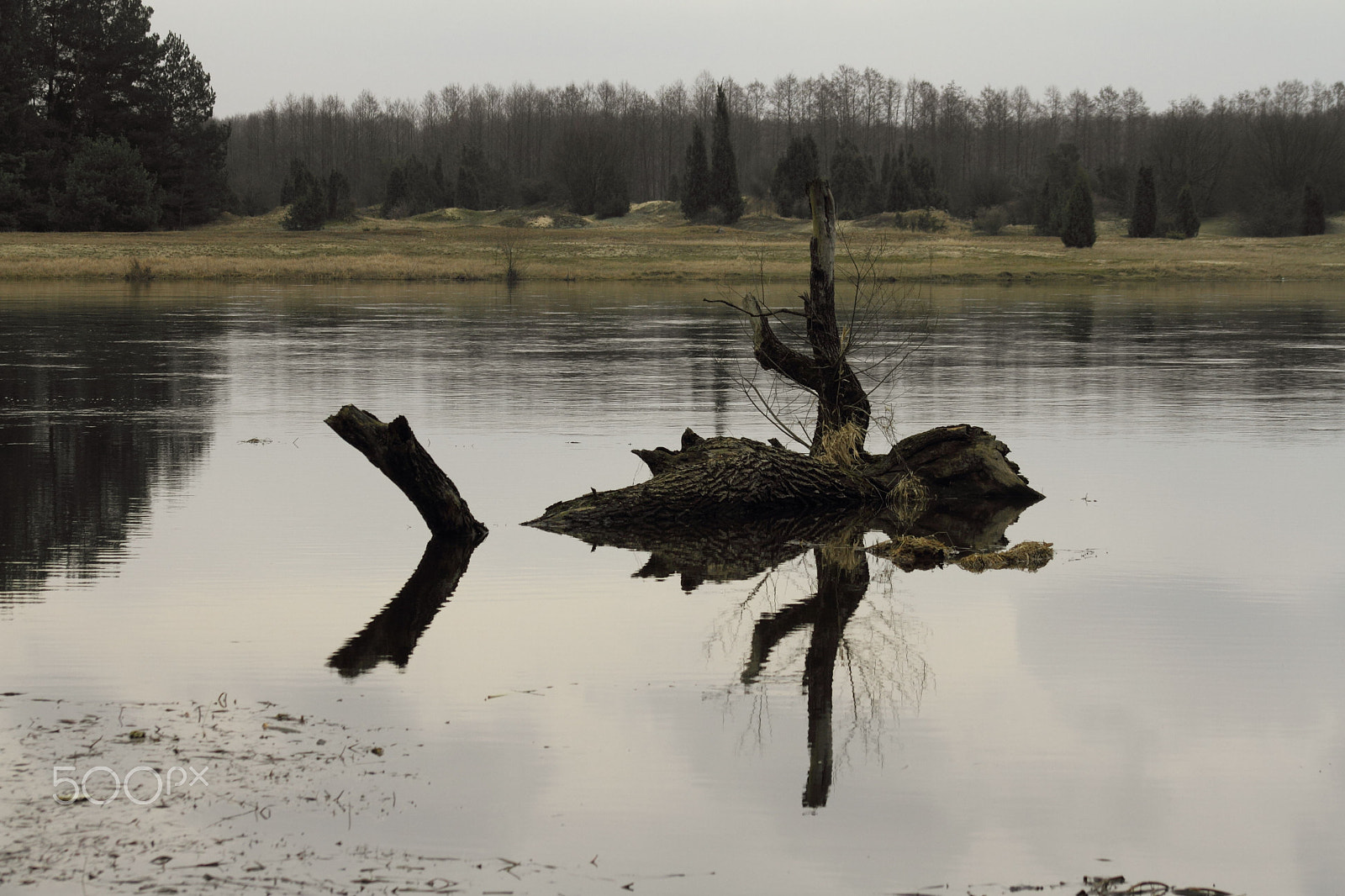 Canon EOS 7D + EF75-300mm f/4-5.6 sample photo. Landscape with willow photography