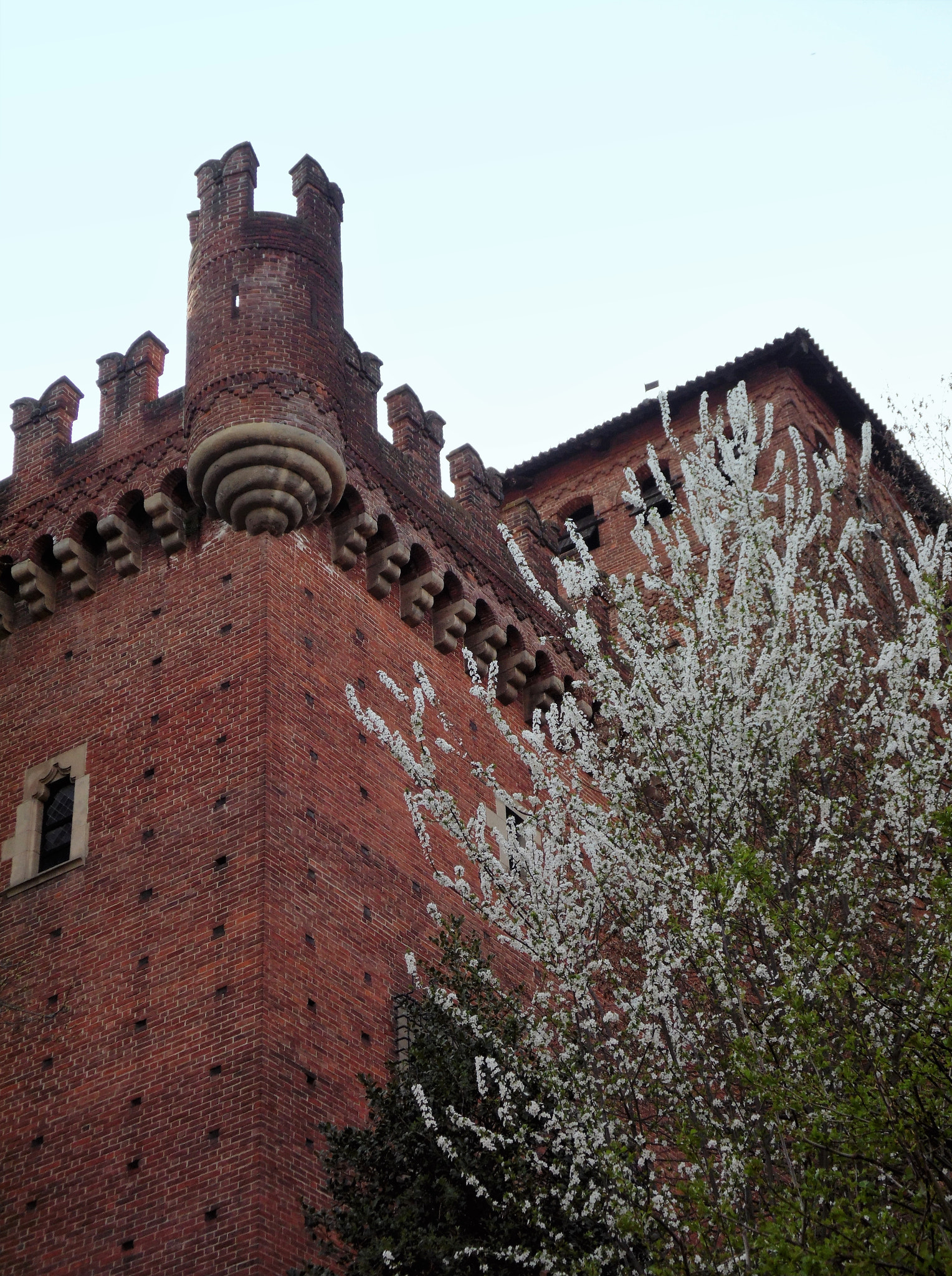 Samsung WB110/  WB111 sample photo. The old castle and the new life. photography