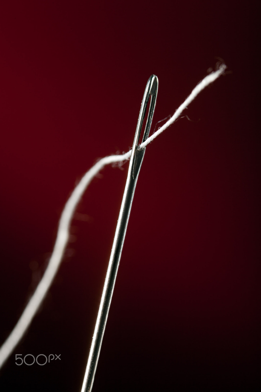 Canon EF 100mm F2.8 Macro USM sample photo. Needle with thread photography