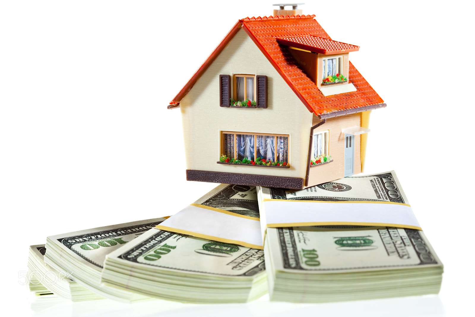 Canon EF 100mm F2.8 Macro USM sample photo. House on packs of banknotes photography