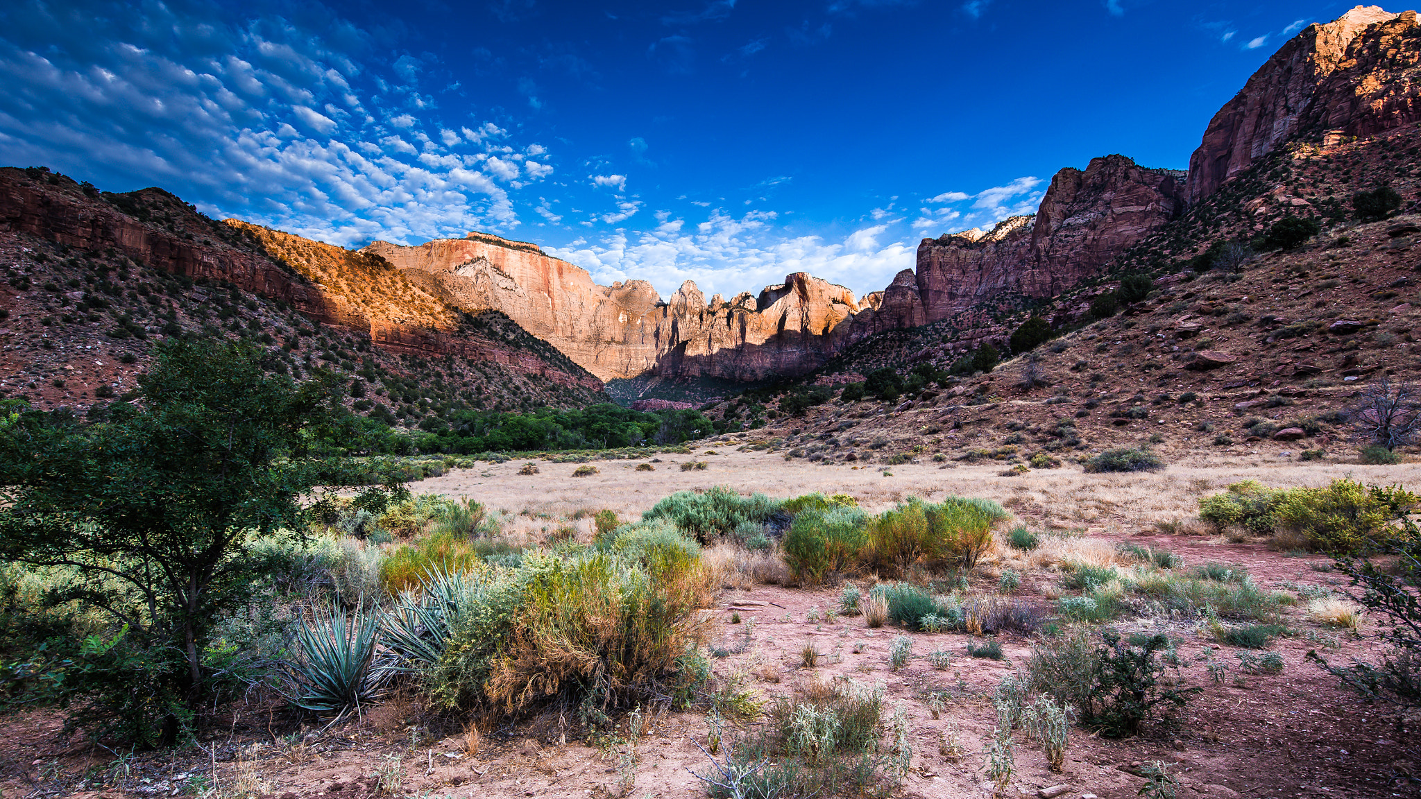 Canon EF 11-24mm F4L USM sample photo. Temples and towers photography
