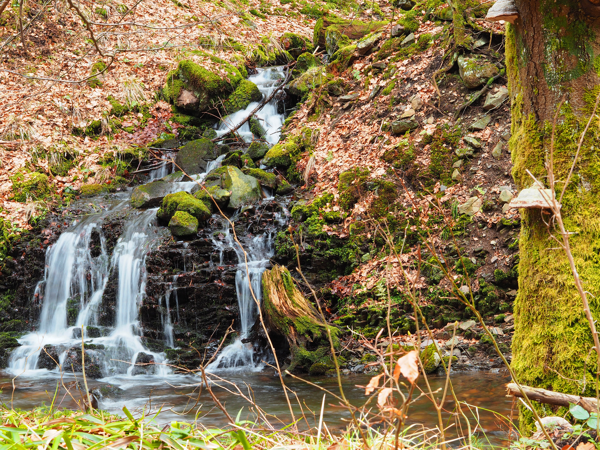 Olympus OM-D E-M10 sample photo. Falling stream photography