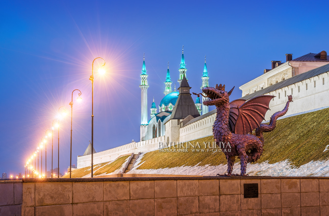 Nikon D800 + Nikon AF-S Nikkor 28-70mm F2.8 ED-IF sample photo. Dragon in kazan photography