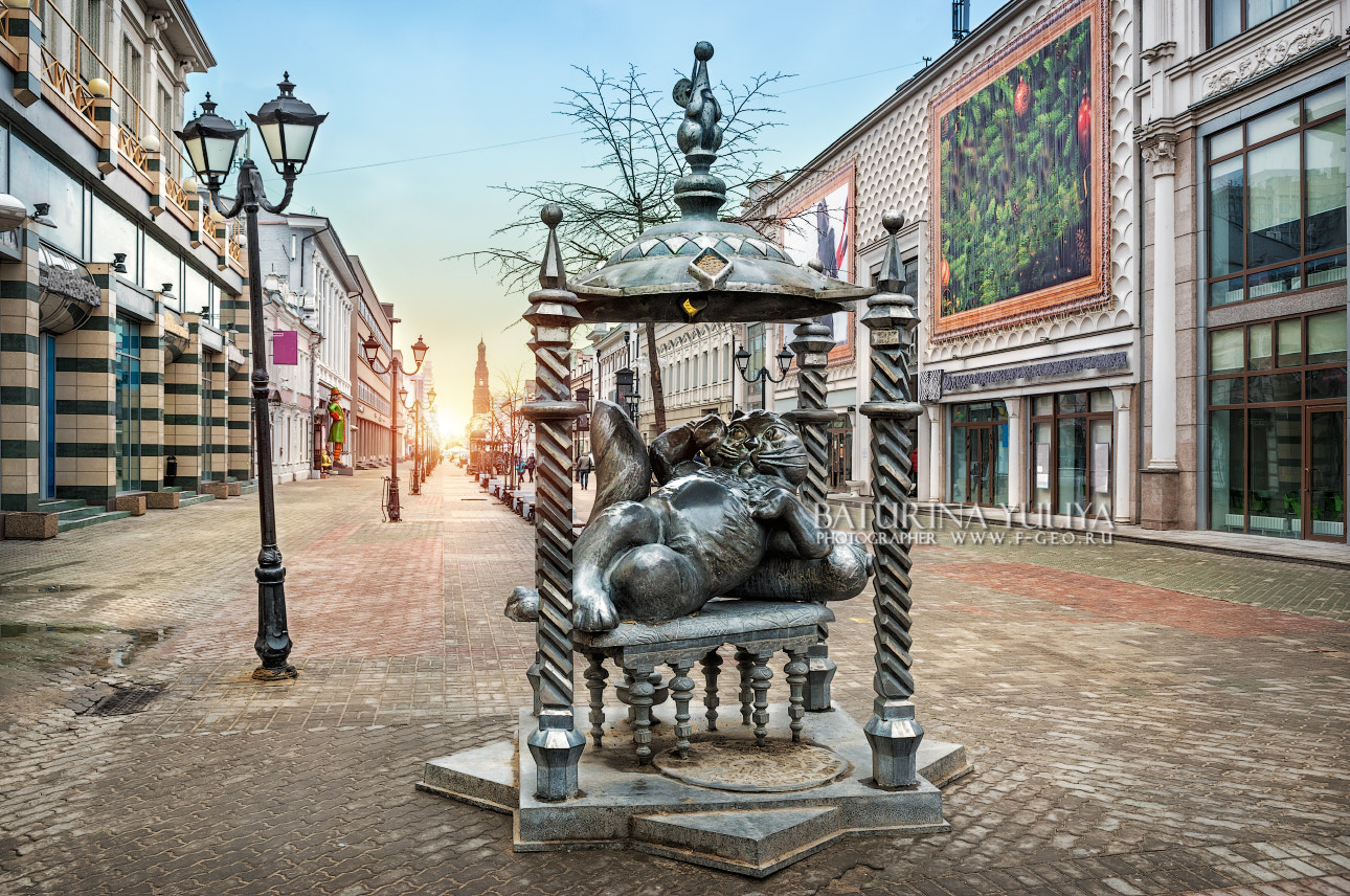 Nikon AF-S Nikkor 28-70mm F2.8 ED-IF sample photo. The kazan cat photography