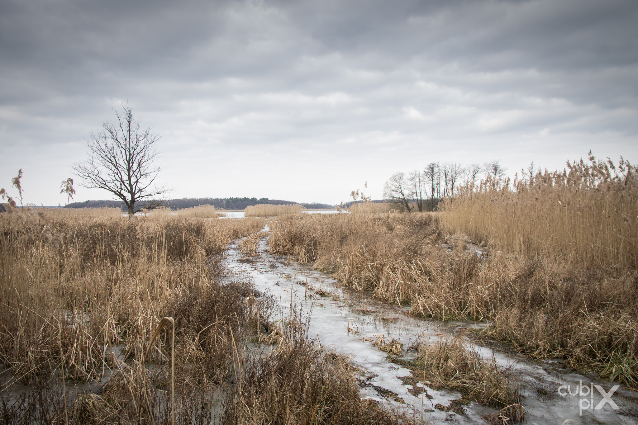 Canon EF-S 17-55mm F2.8 IS USM sample photo. Winter lake photography