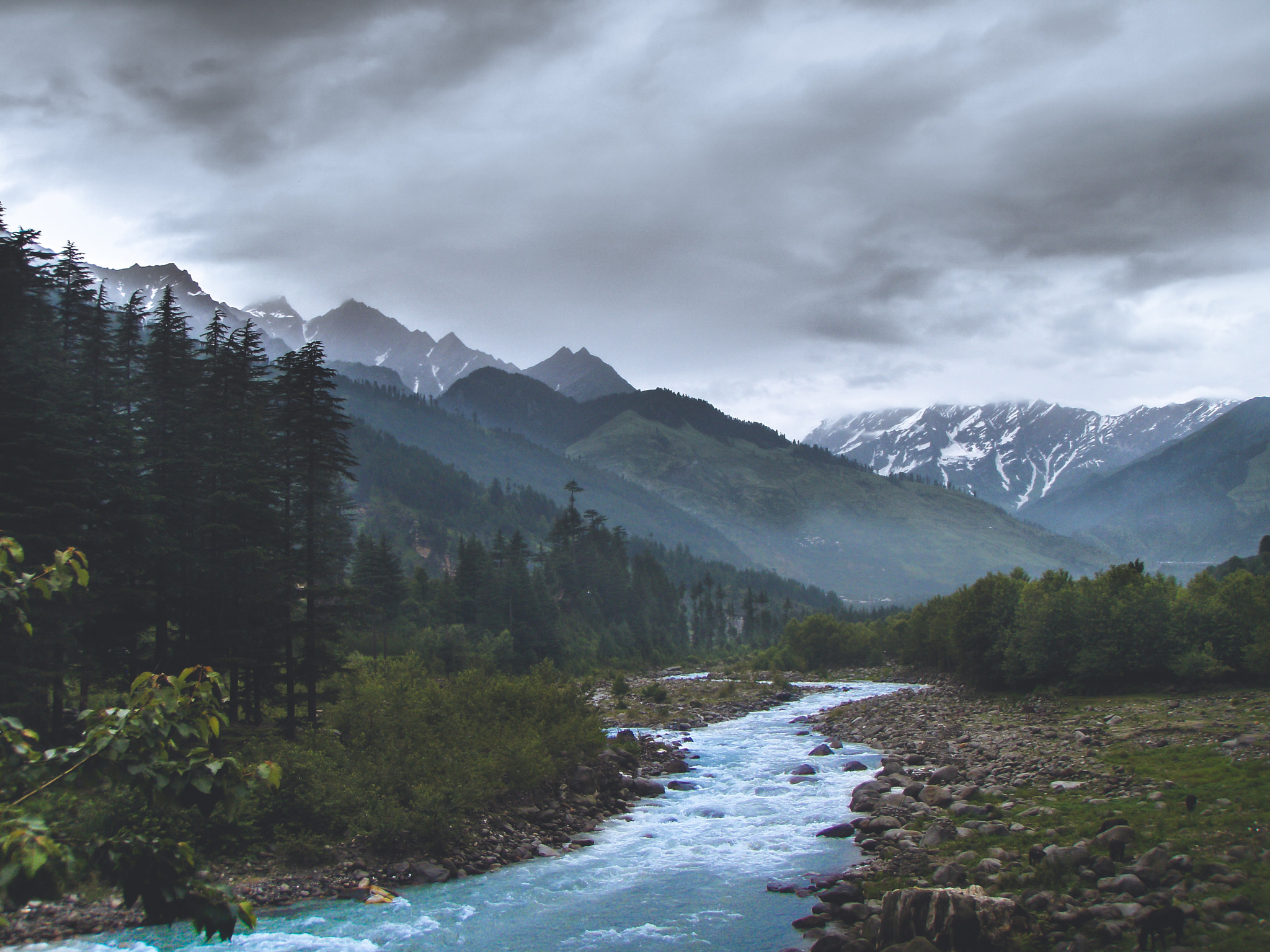 Olympus u1050SW,S1050SW sample photo. The wild kashmir photography