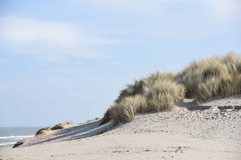 Nikon D7200 sample photo. The blond dunes of my youth... photography