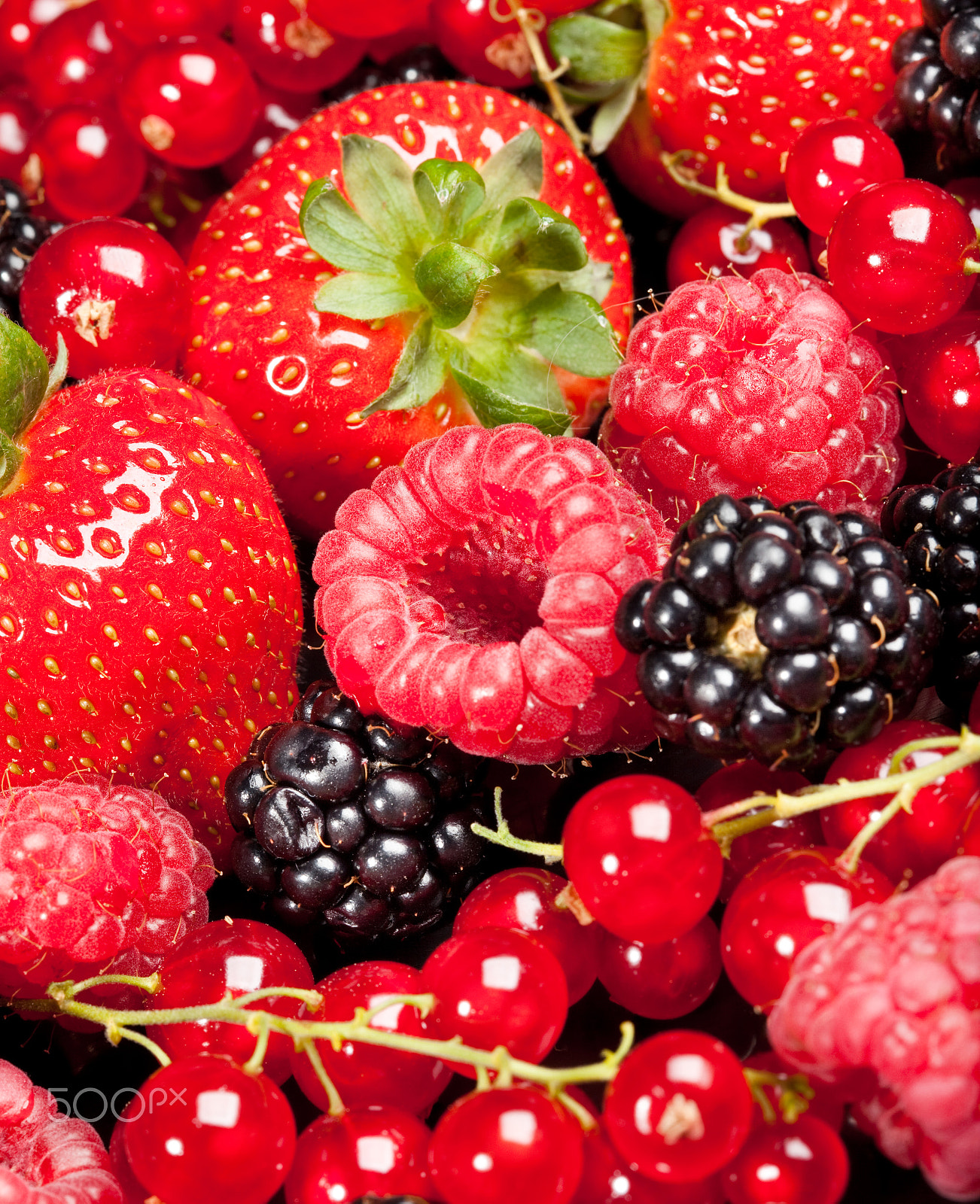 Canon EF 100mm F2.8 Macro USM sample photo. Berrys photography