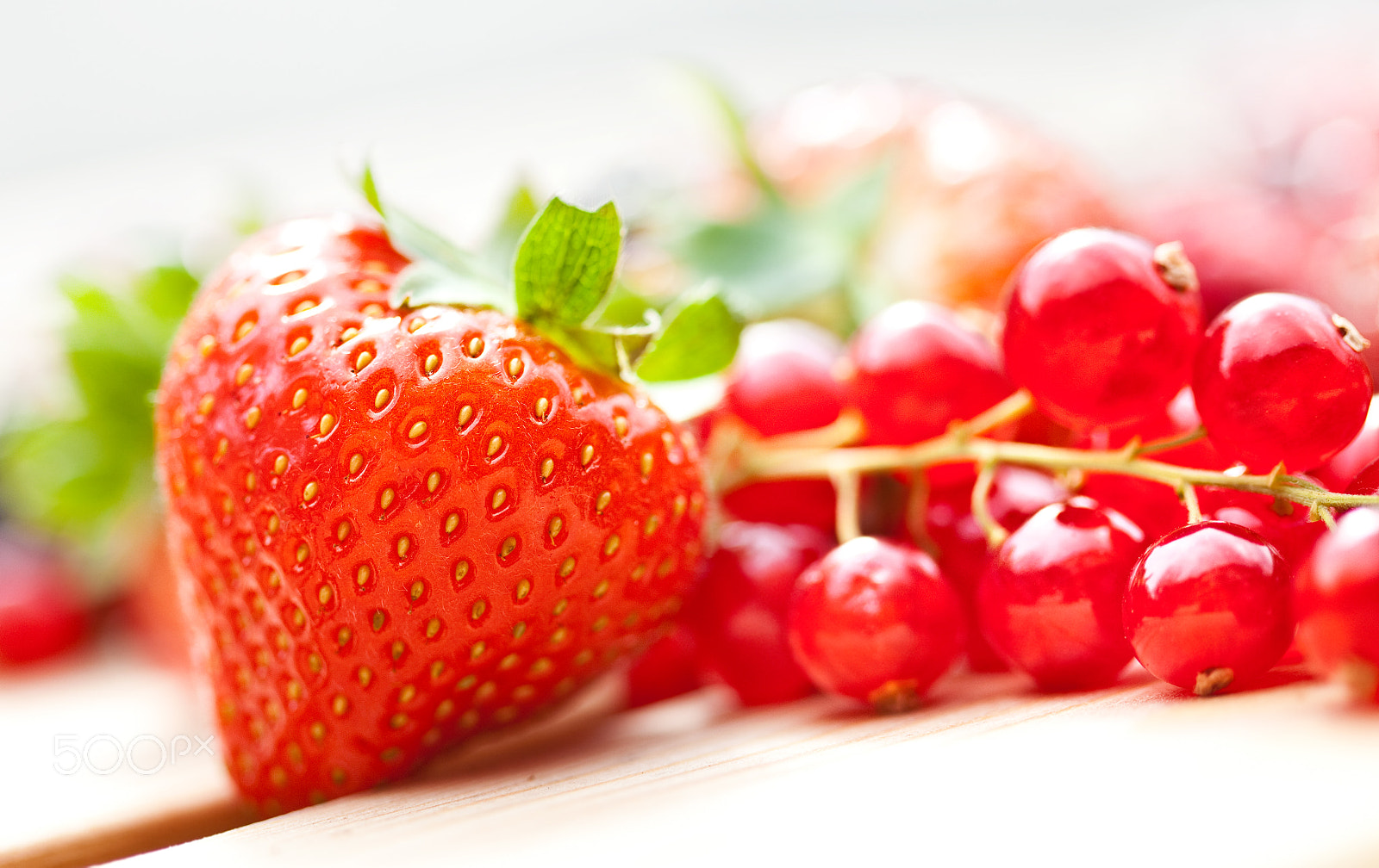 Canon EF 100mm F2.8 Macro USM sample photo. Strawberry photography