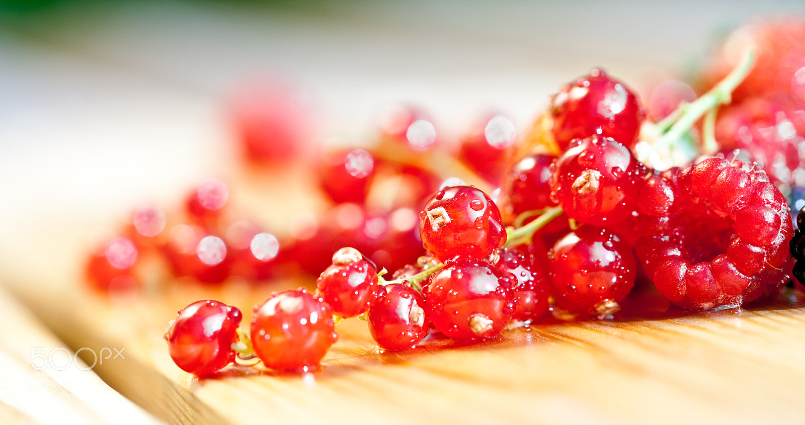 Canon EF 100mm F2.8 Macro USM sample photo. Currants photography