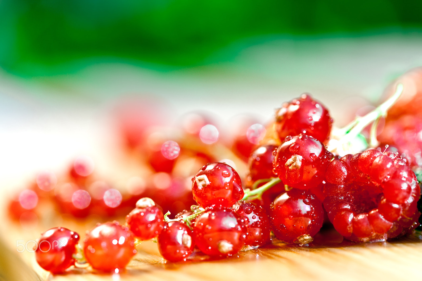 Canon EF 100mm F2.8 Macro USM sample photo. Currants photography