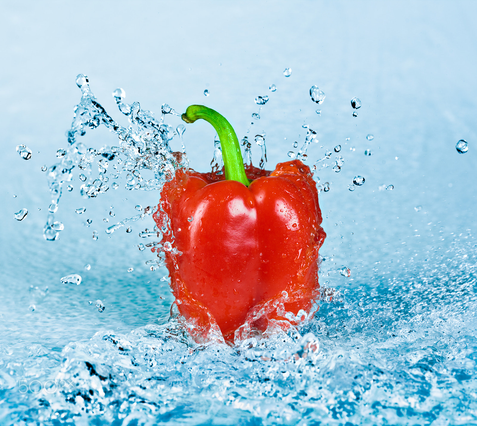Canon EF 100mm F2.8 Macro USM sample photo. Pepper and water photography