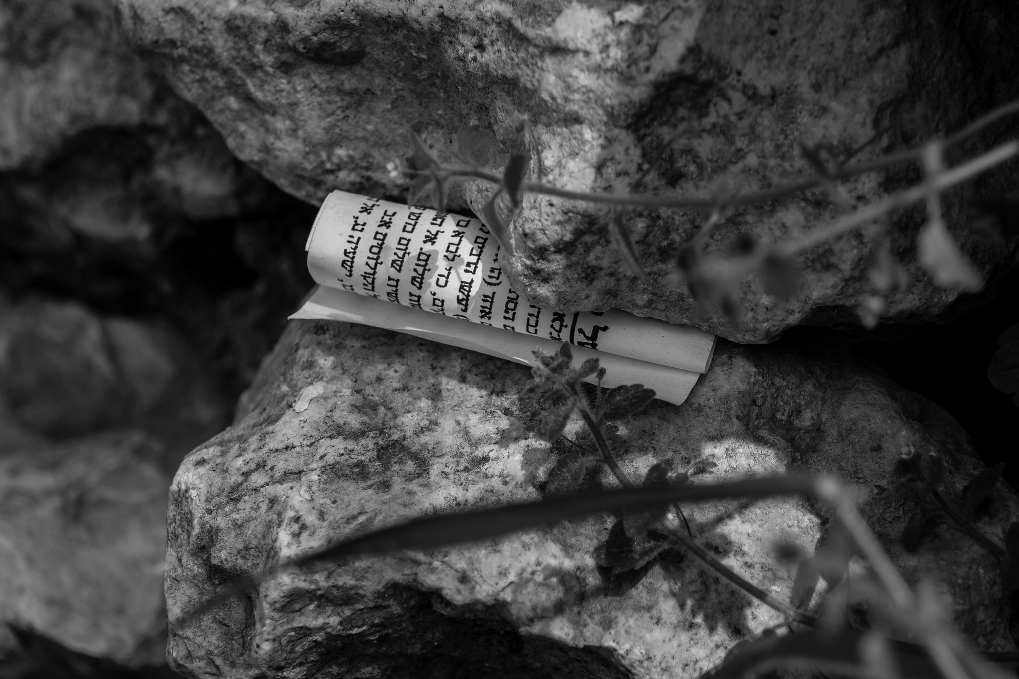 Nikon D7200 sample photo