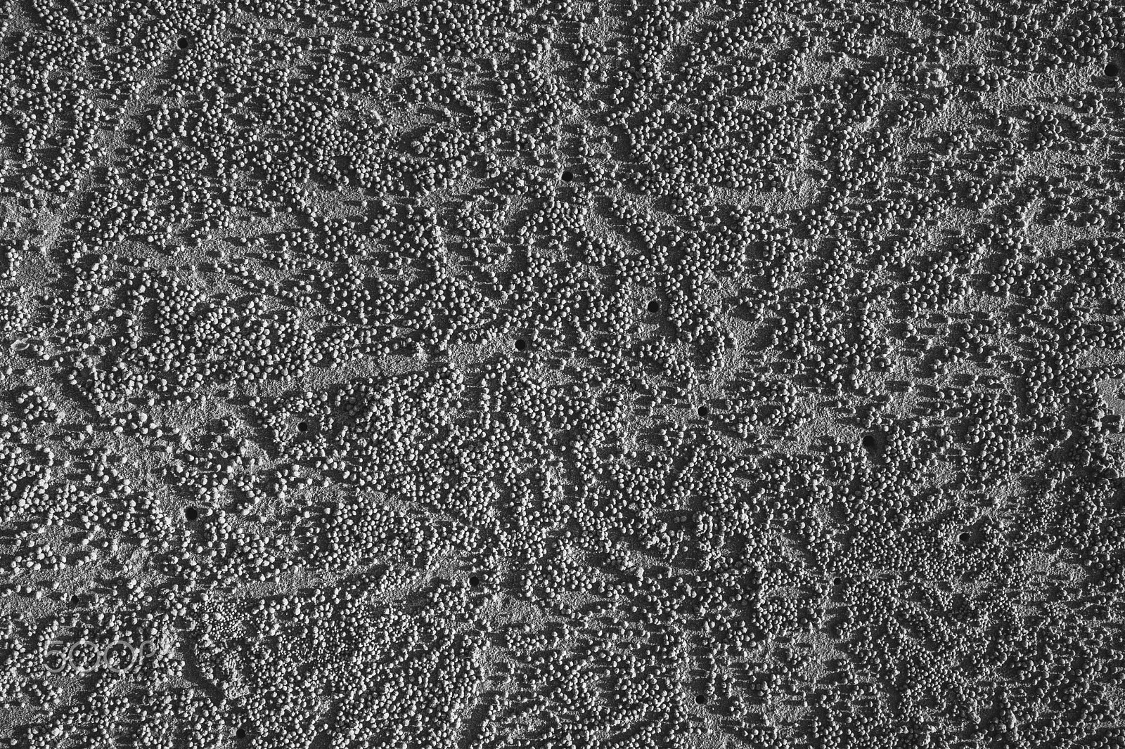 Canon EOS M3 sample photo. Crab labyrinth photography