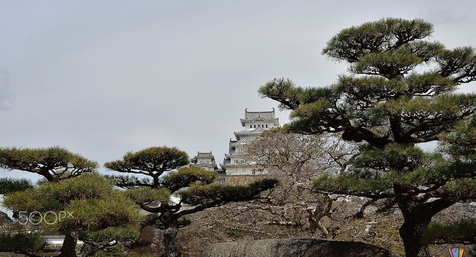 Nikon D800E sample photo. World heritage himeji castle～姫路城～ photography