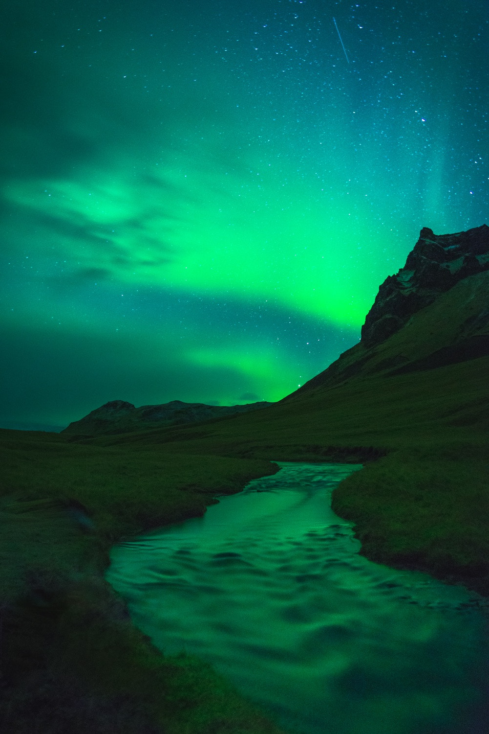 Nikon D610 + Sigma 24-70mm F2.8 EX DG HSM sample photo. The first time i saw lady aurora // iceland photography