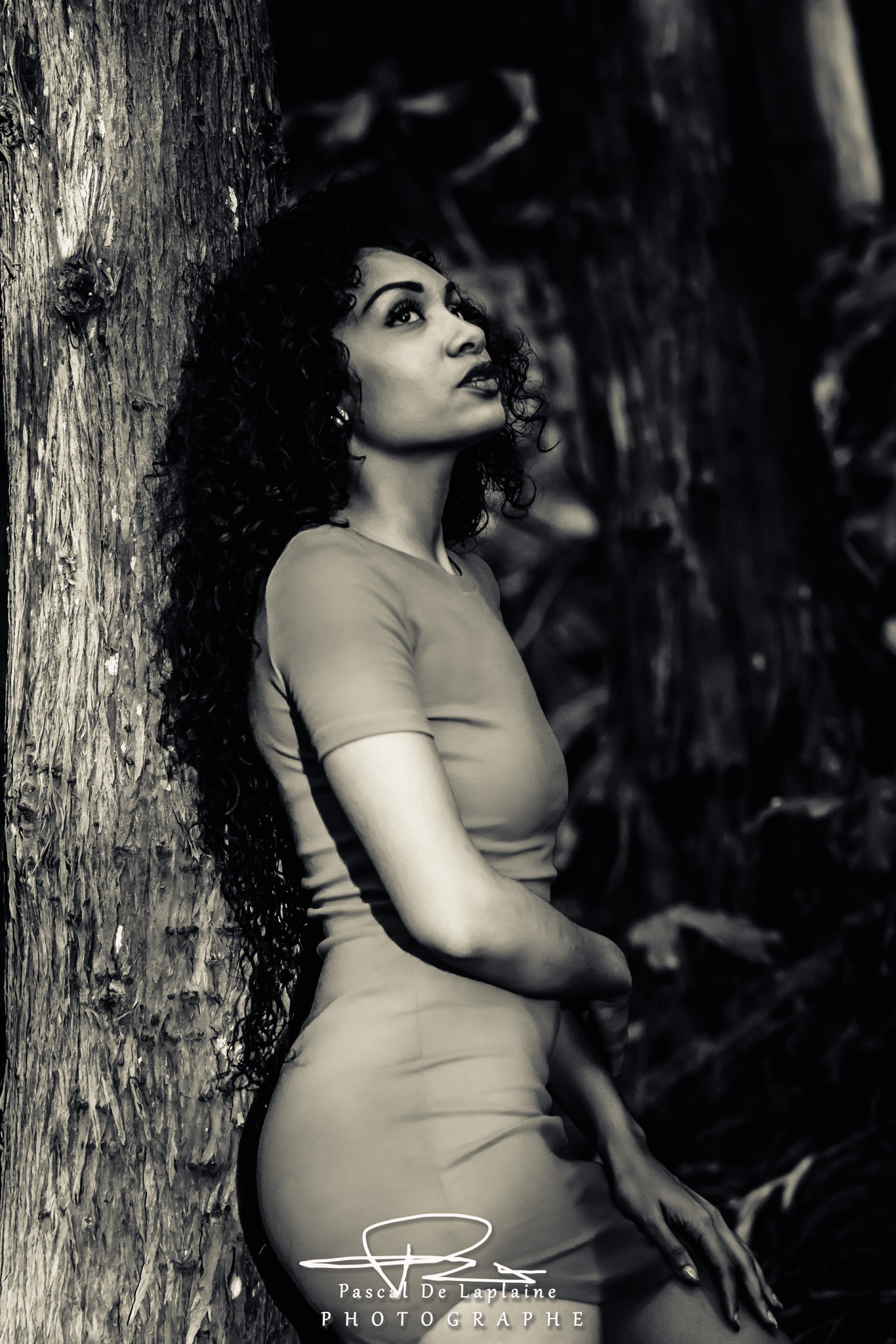 Nikon D800 sample photo. Novembre photography