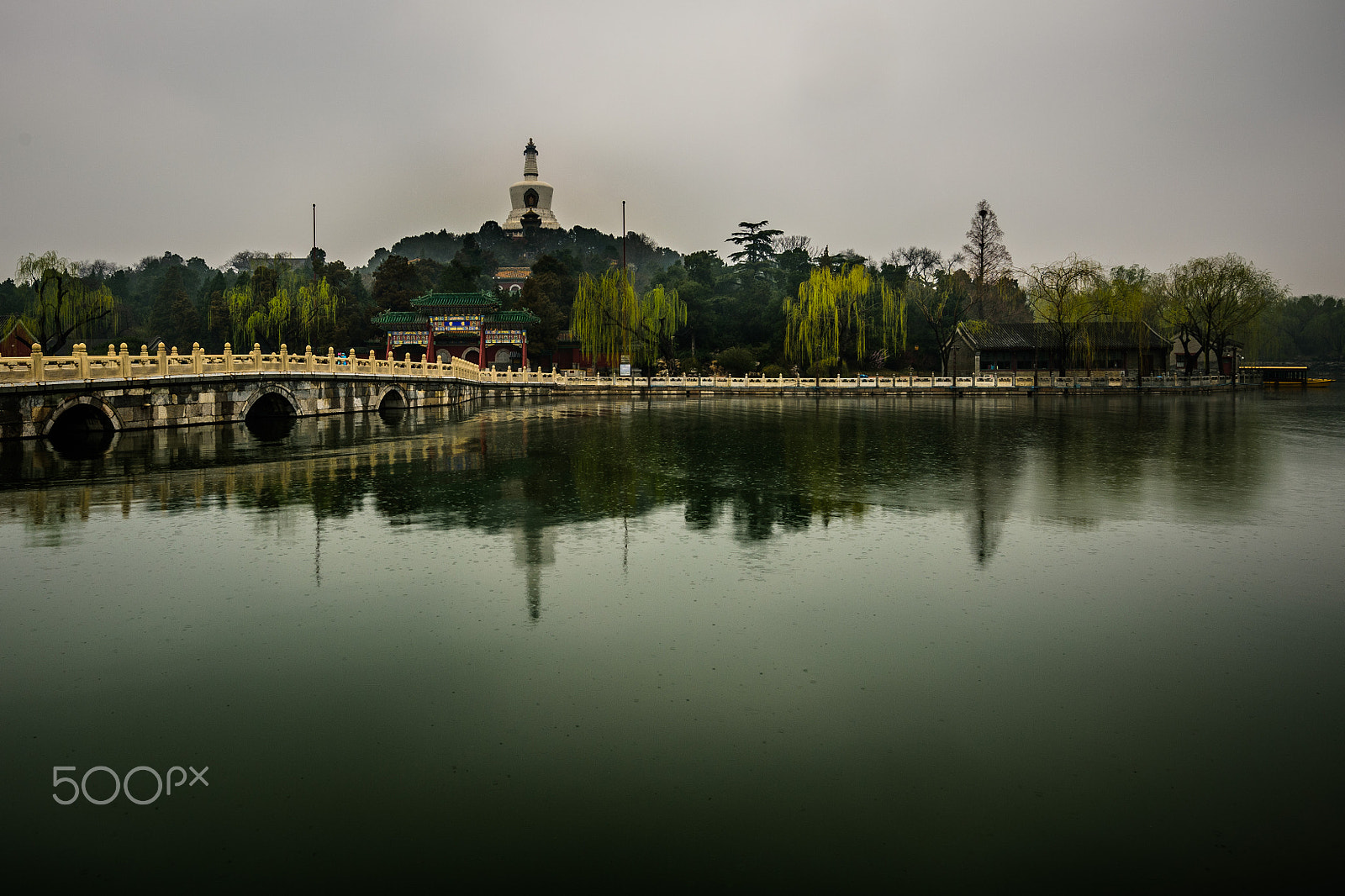 Nikon Df sample photo. Rainy days of beihai park. photography