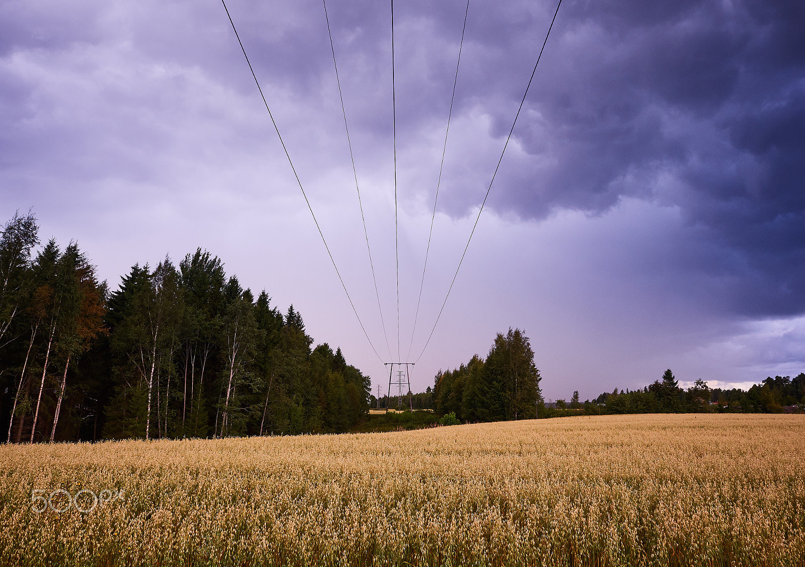 Olympus OM-D E-M5 II sample photo. Power lines leading to horizon in stormy countryside landscape image photography