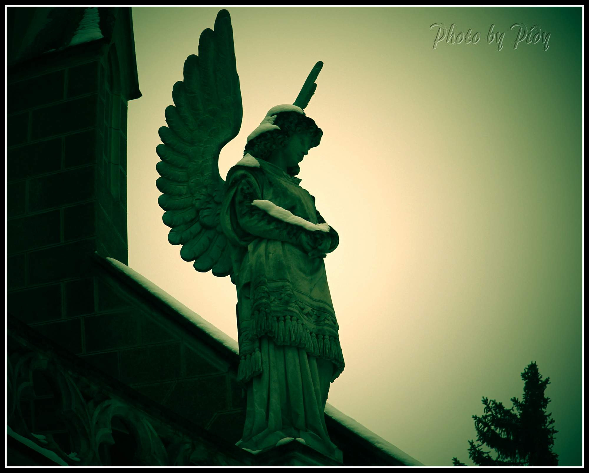 Canon EOS 60D sample photo. Angel photography