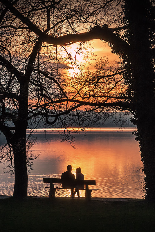 Canon EOS 40D + Sigma 18-200mm f/3.5-6.3 DC OS sample photo. Love is in the air photography