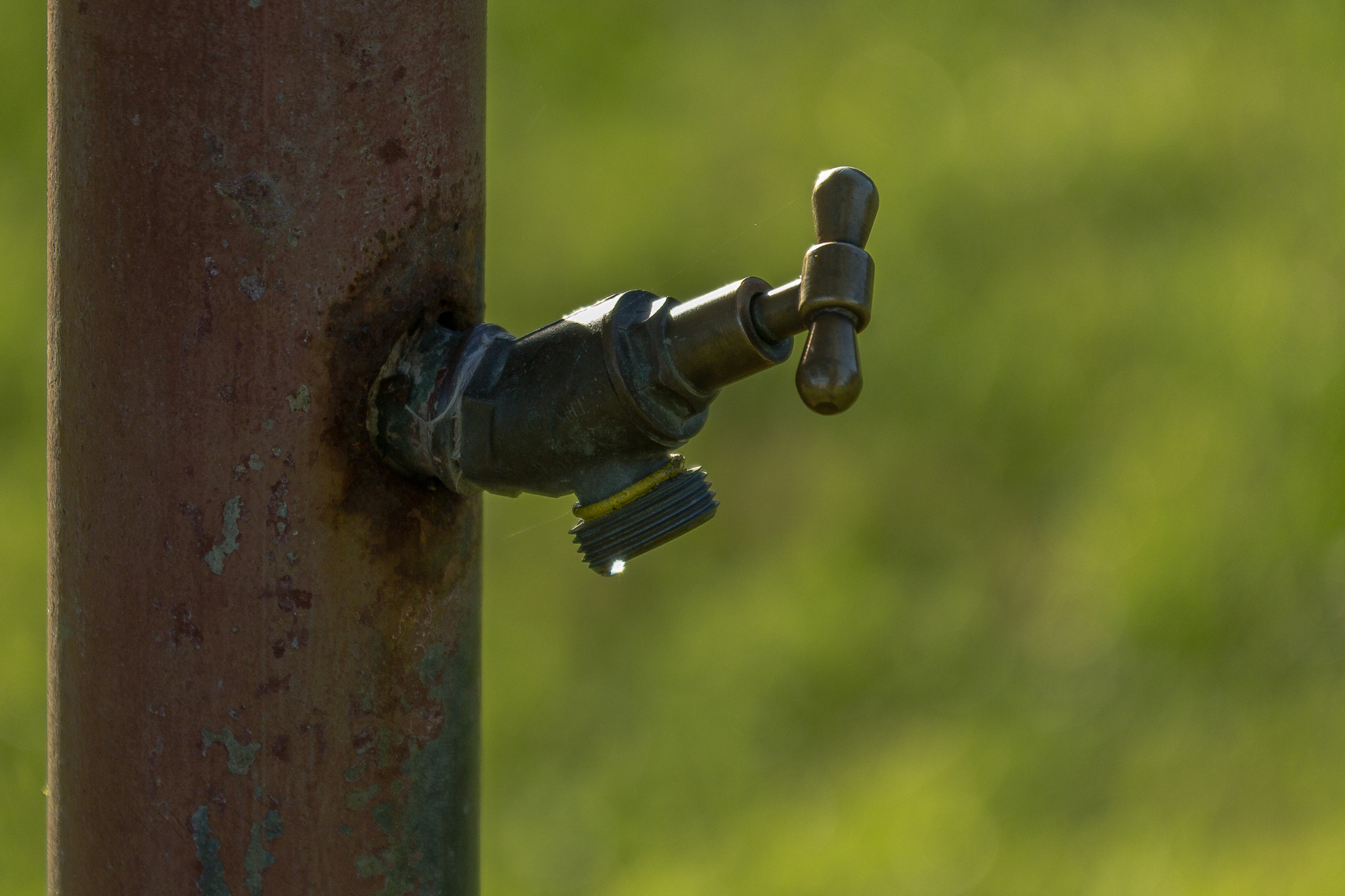Sigma 70-200mm F2.8 EX DG OS HSM sample photo. Another drip photography