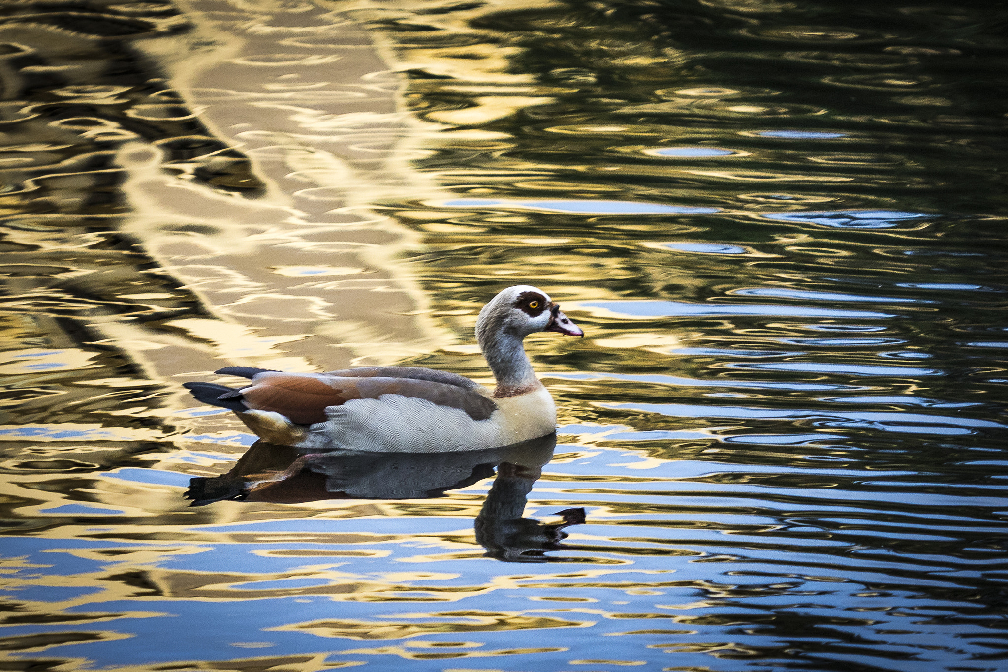 Canon EF 180mm F3.5L Macro USM sample photo. Turning up the vibrancy photography